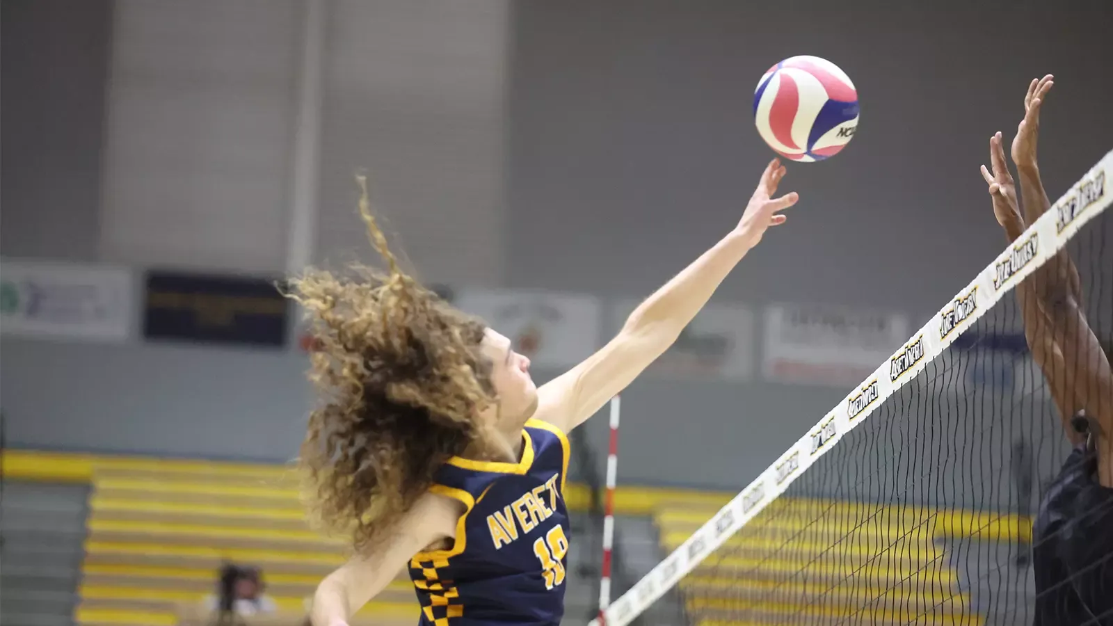 Nicholas Breen mens volleyball 022126