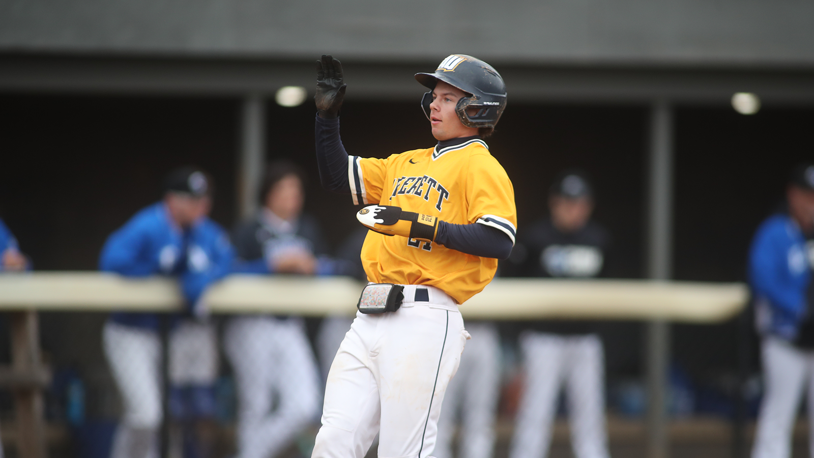 Vaughan Mayo baseball 030326