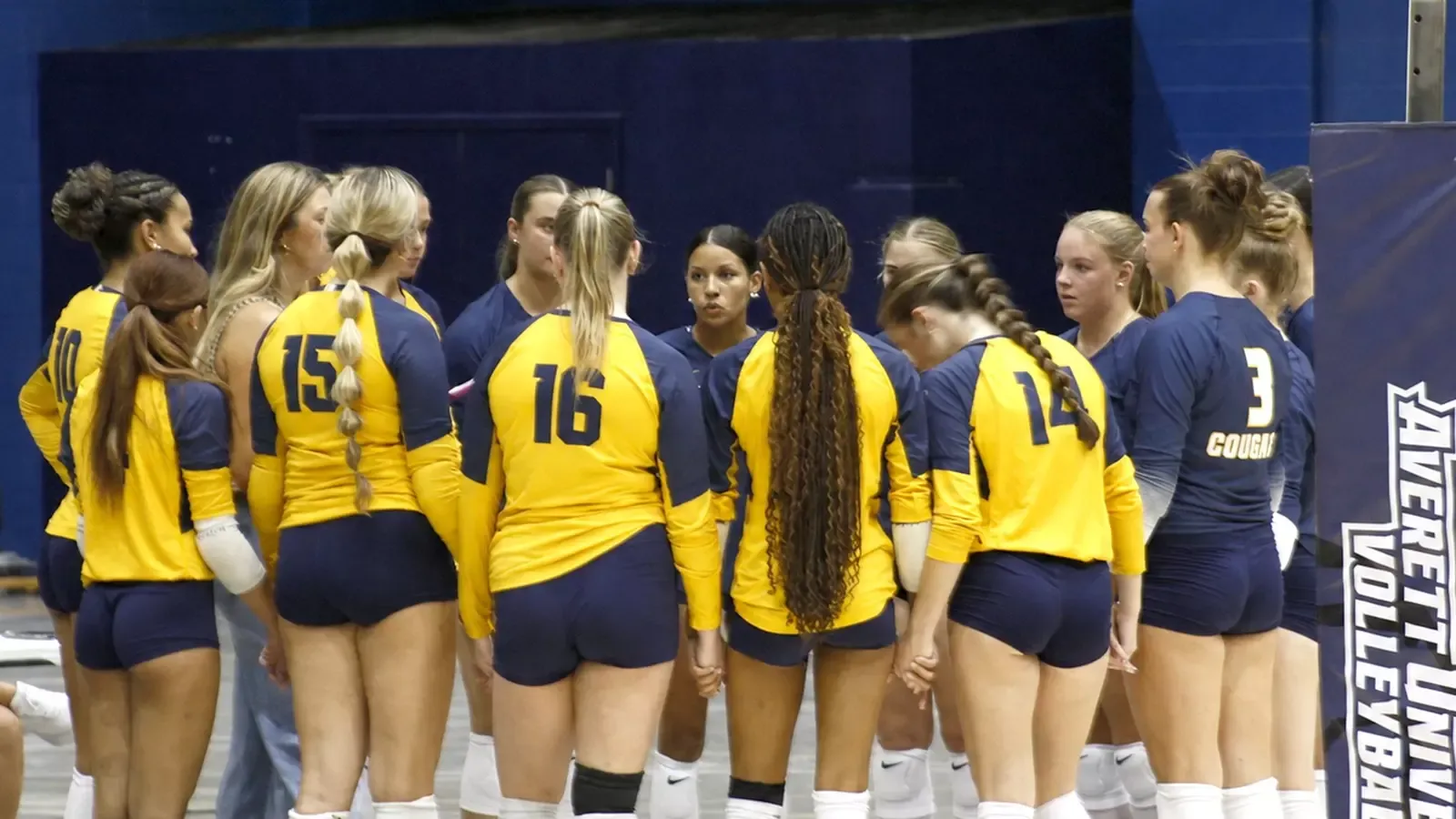 Team womens volleyball 090126