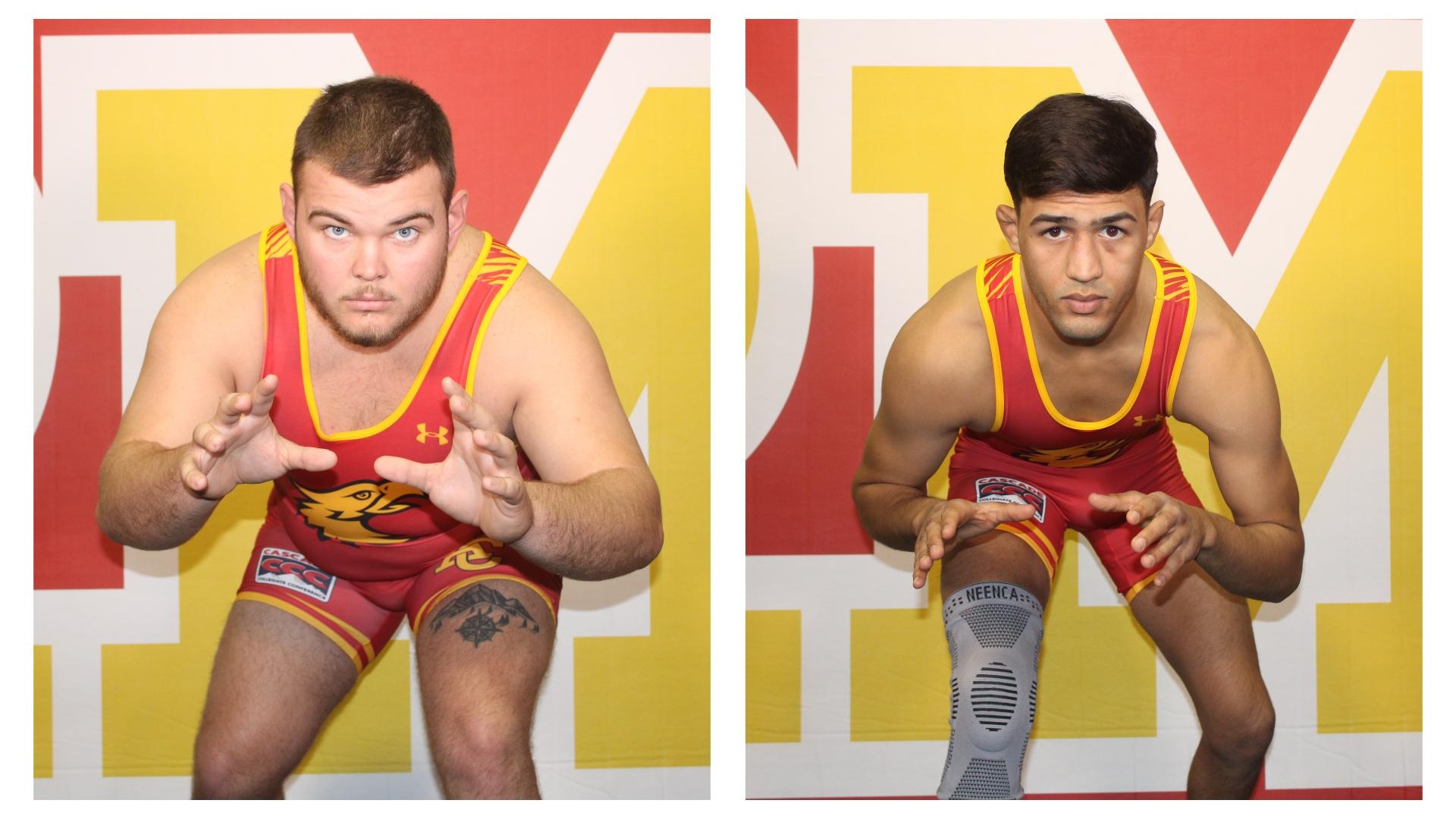 Wrestling