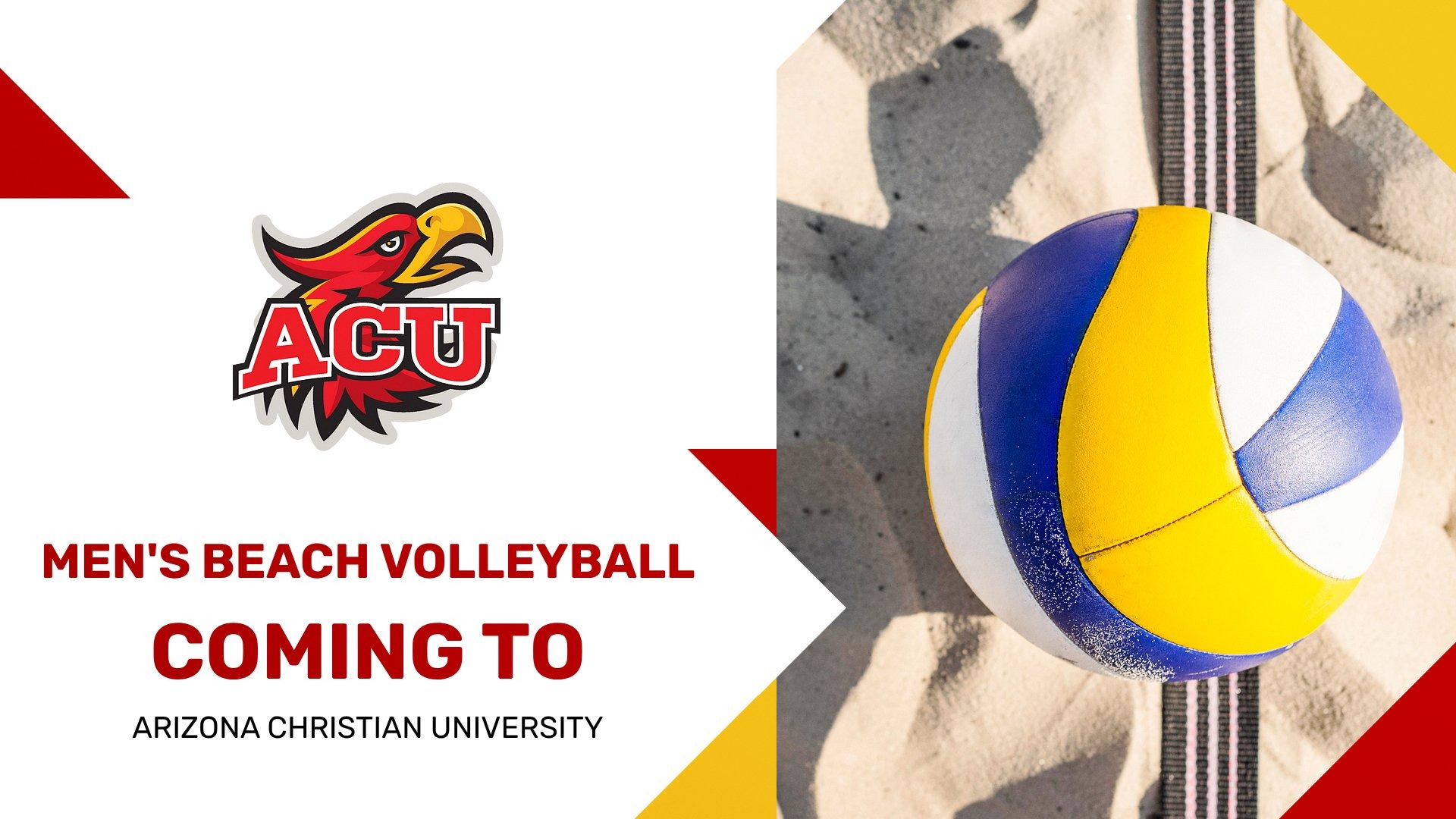 Men's Beach Volleyball Coming