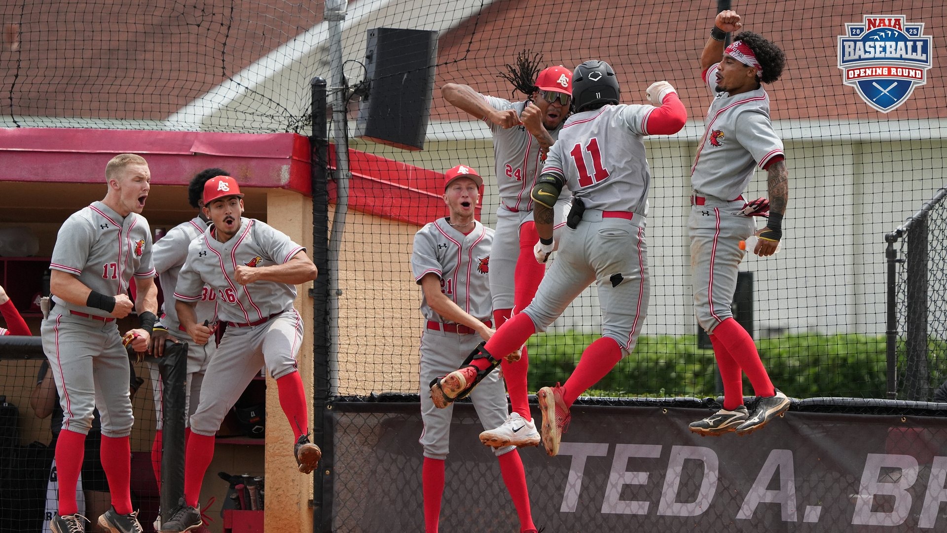 ACU Baseball advances 