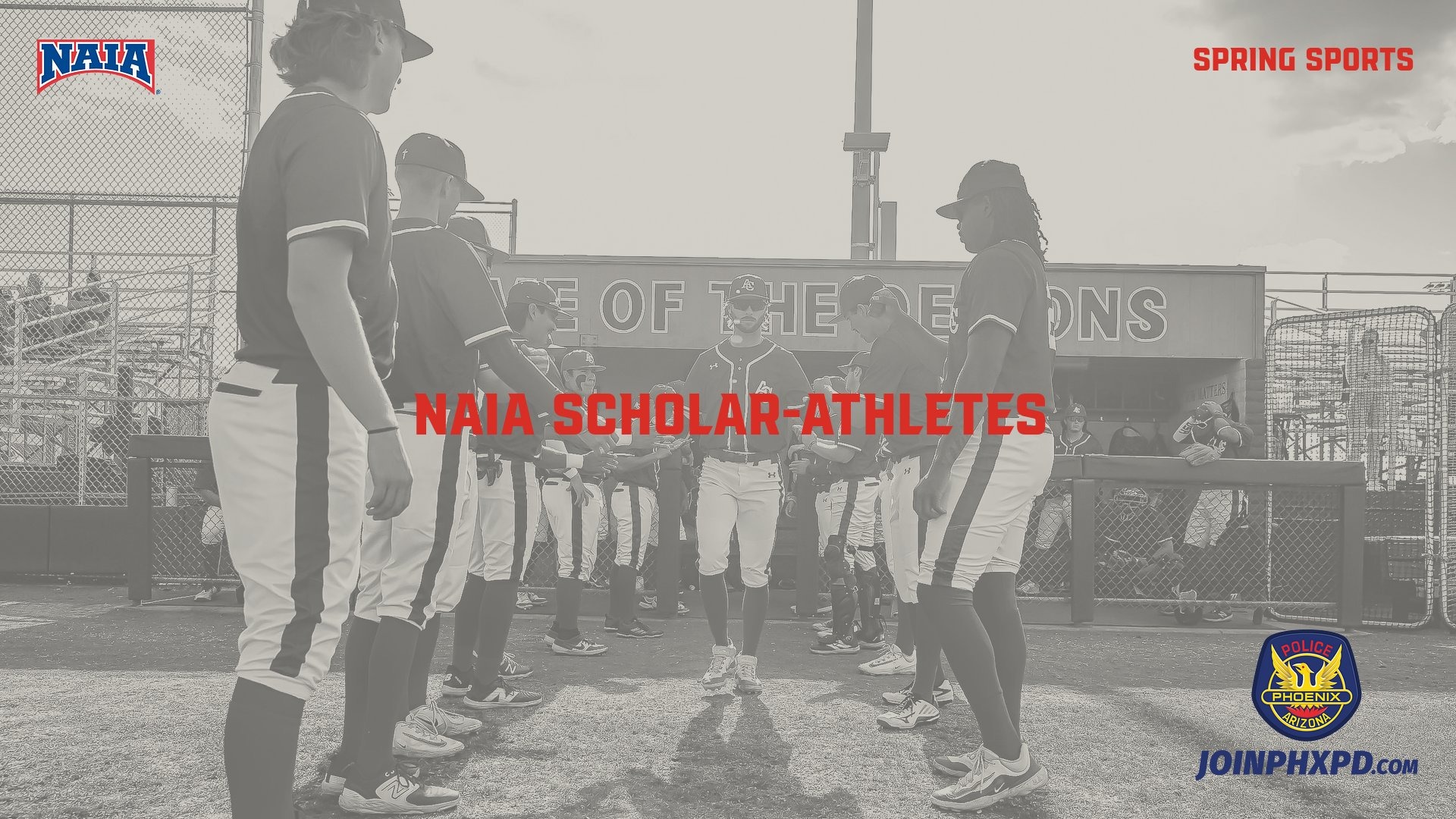 2025 NAIA Spring Scholar-Athletes