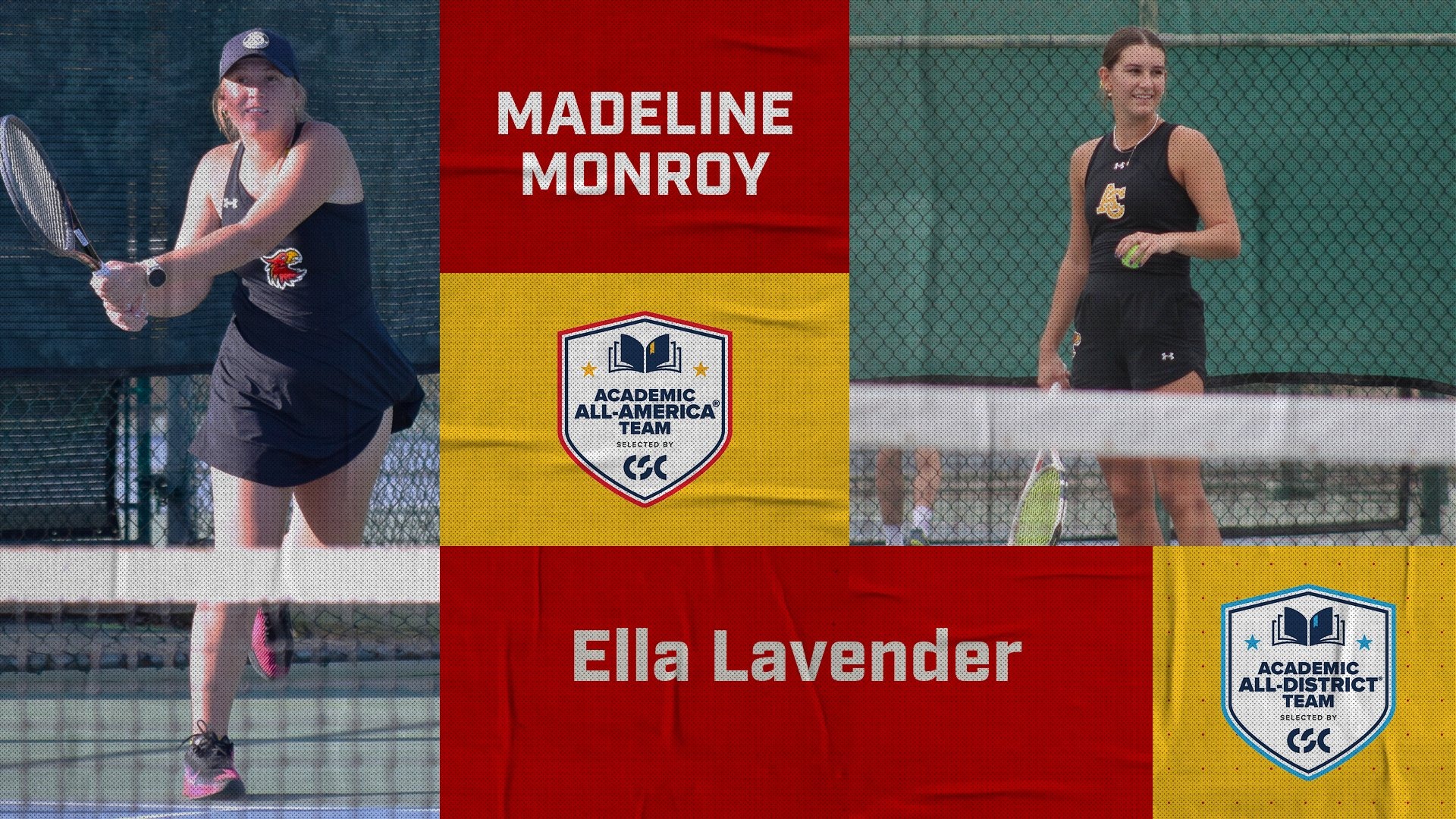 Monroy Lavender AAA AAD 2