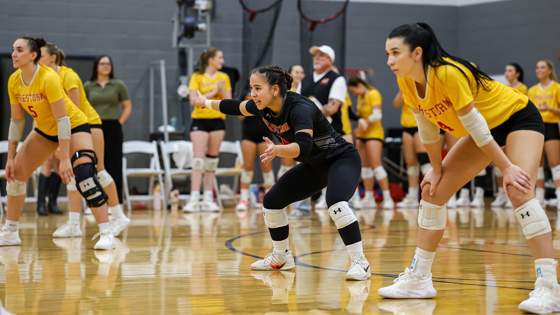 WVB Trio