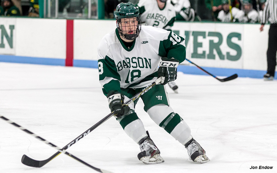 Men's Ice Hockey Stymies Lake Forest to Stay Unbeaten at Home, 41