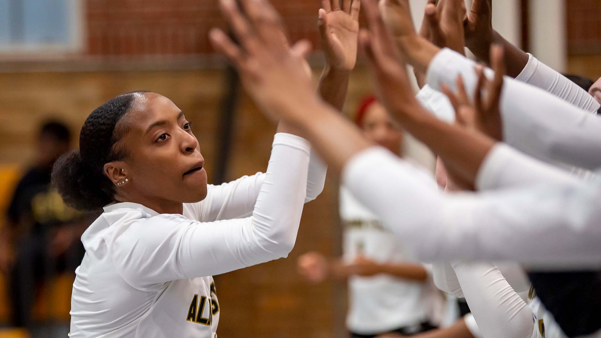 Alabama State releases 2023 volleyball schedule Alabama State