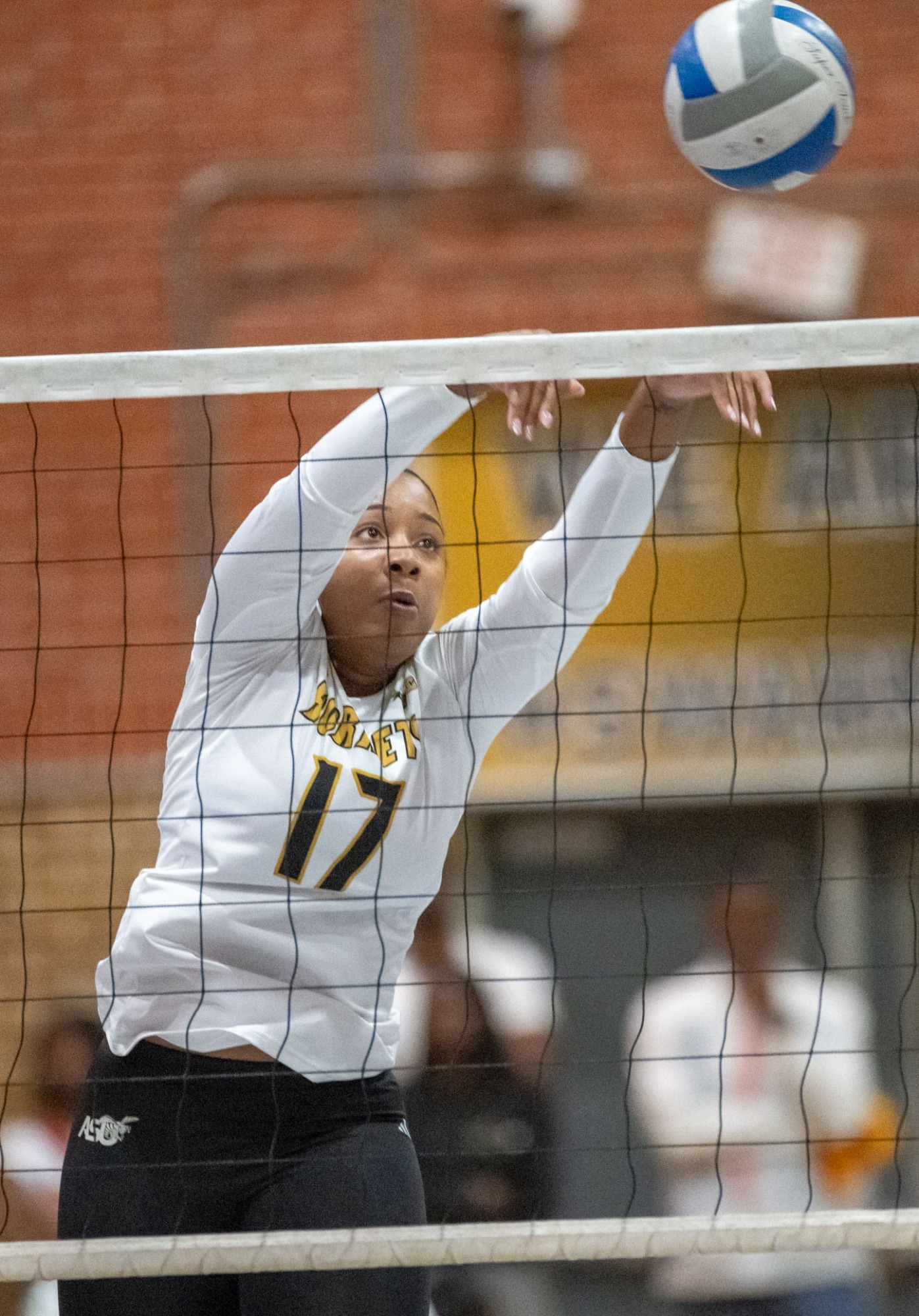 Taila Gaines 2023 Women's Volleyball Alabama State University