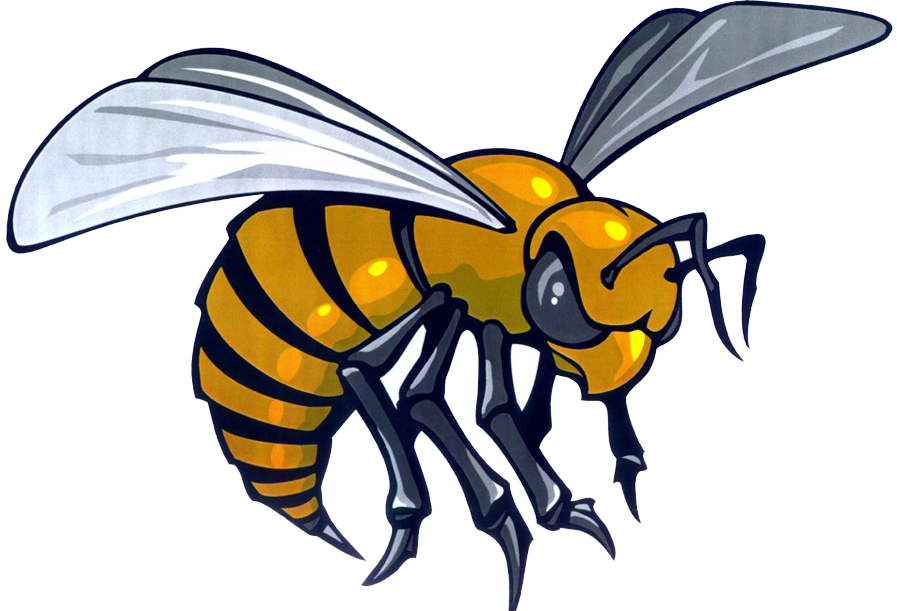Hornet