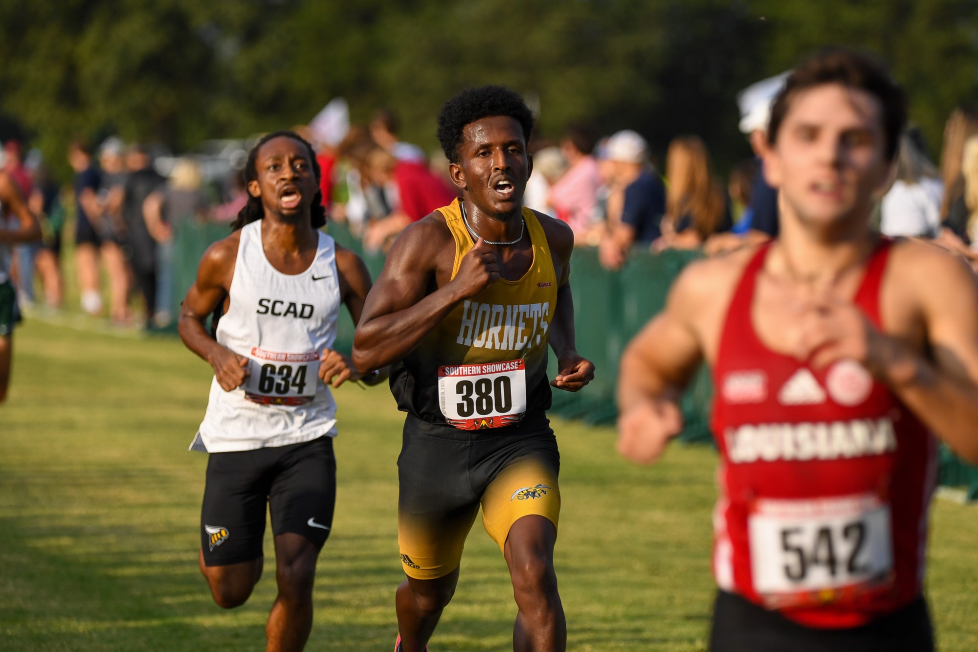 MOHAMED_SOUTHERN_SHOWCASE