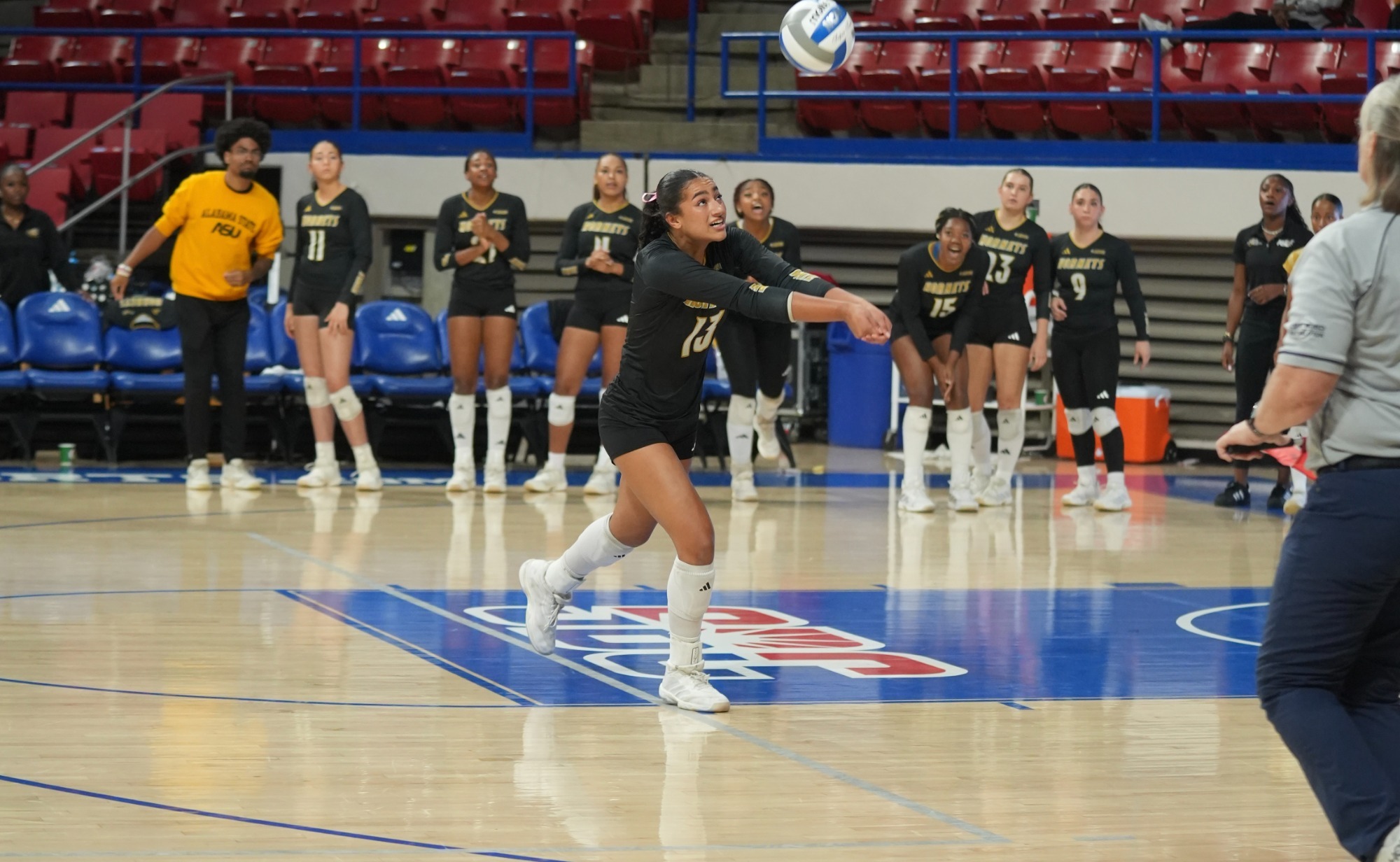 VB Picture