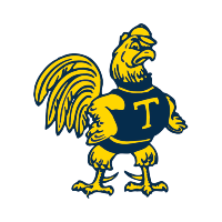 Trinity Two Color Small Logo