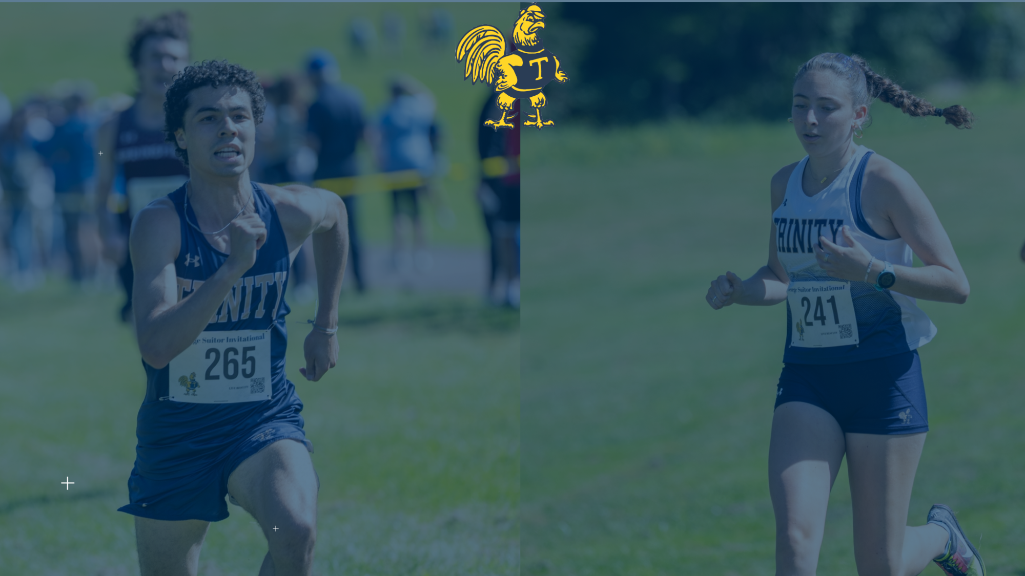 XC Recap Image