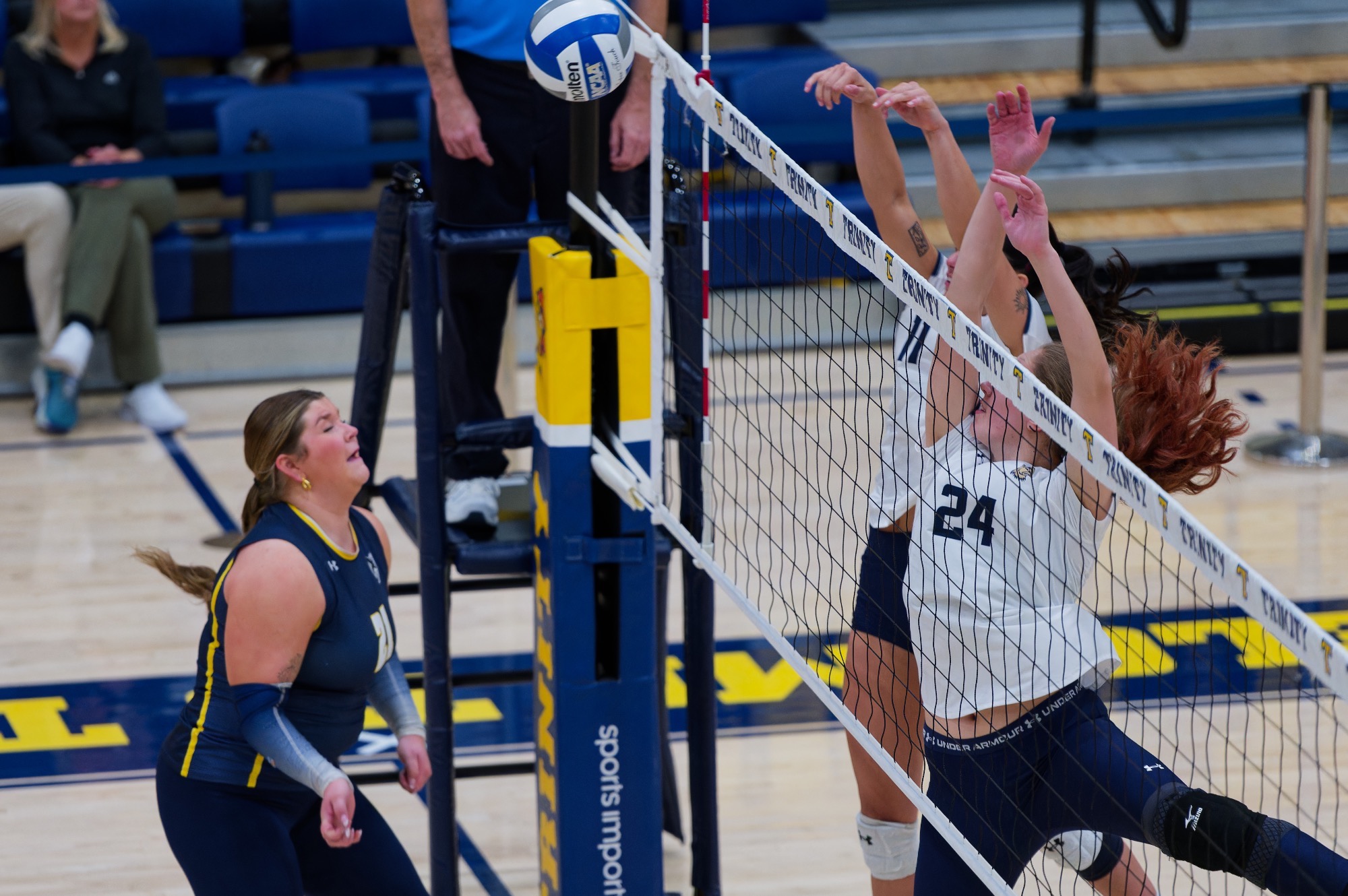 WVB