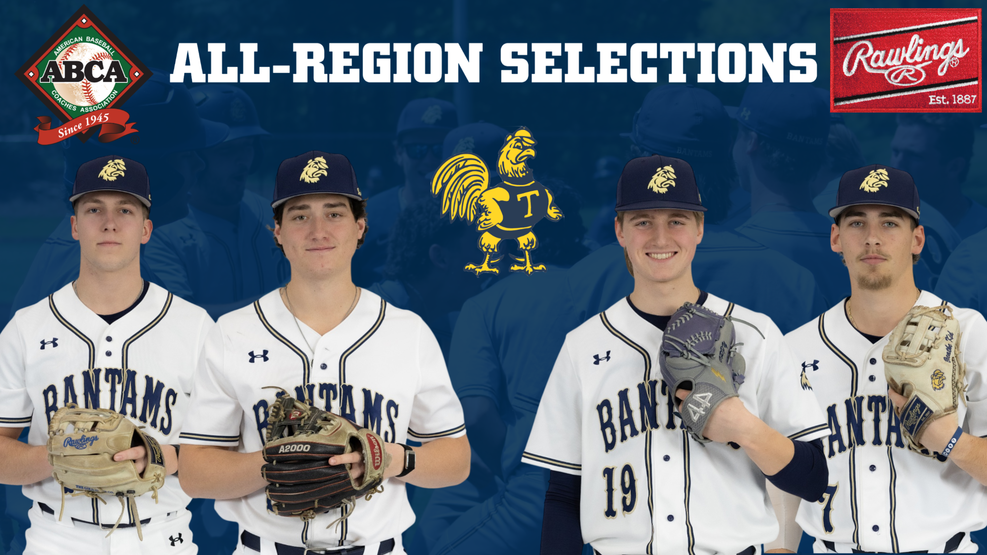 BSB All Region