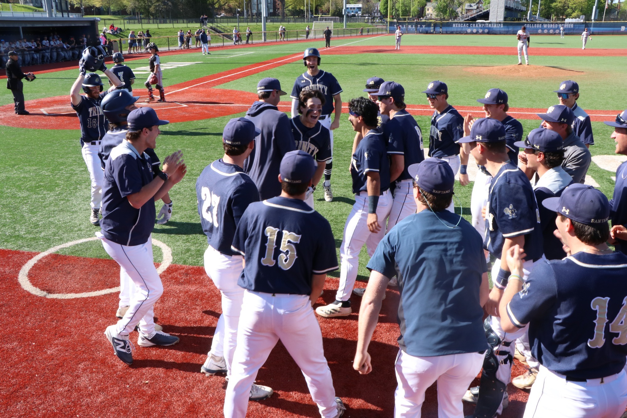 Baseball HR Celebration