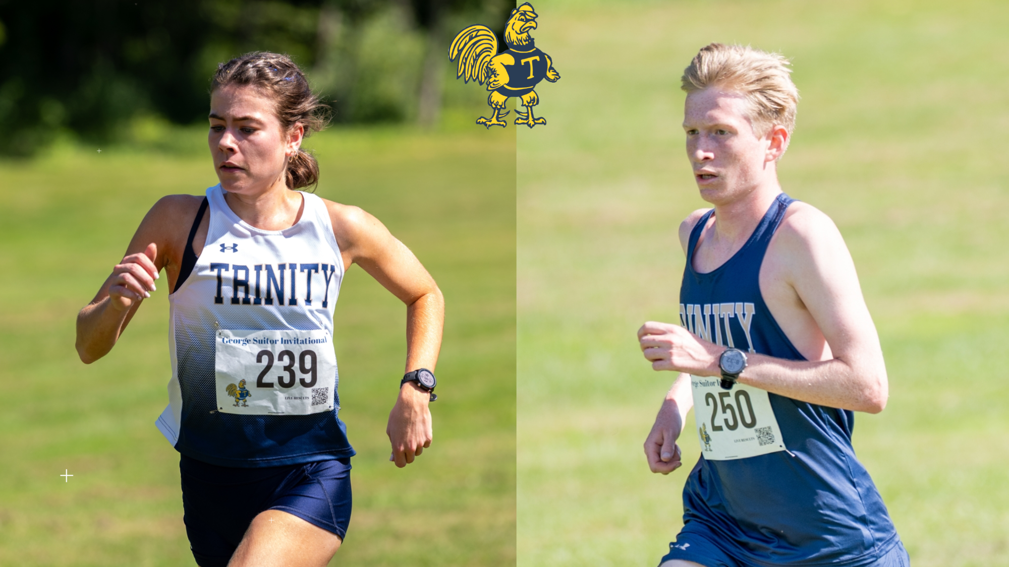 XC recap