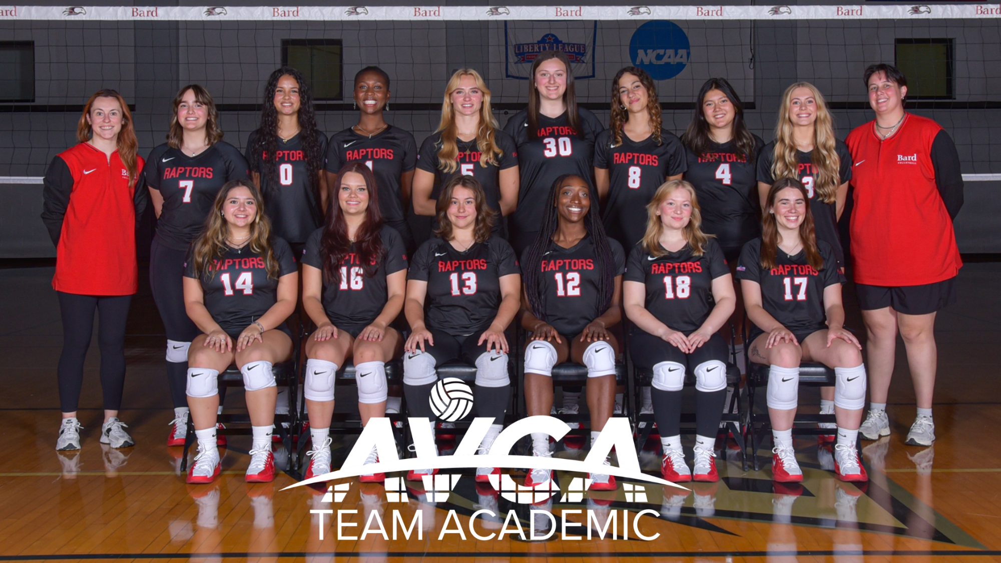AVCA WVB 206