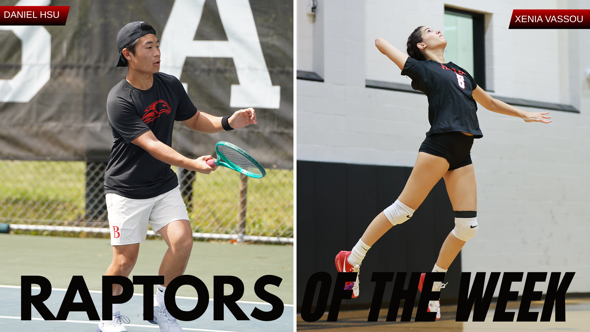 W2 Raptors of the Week