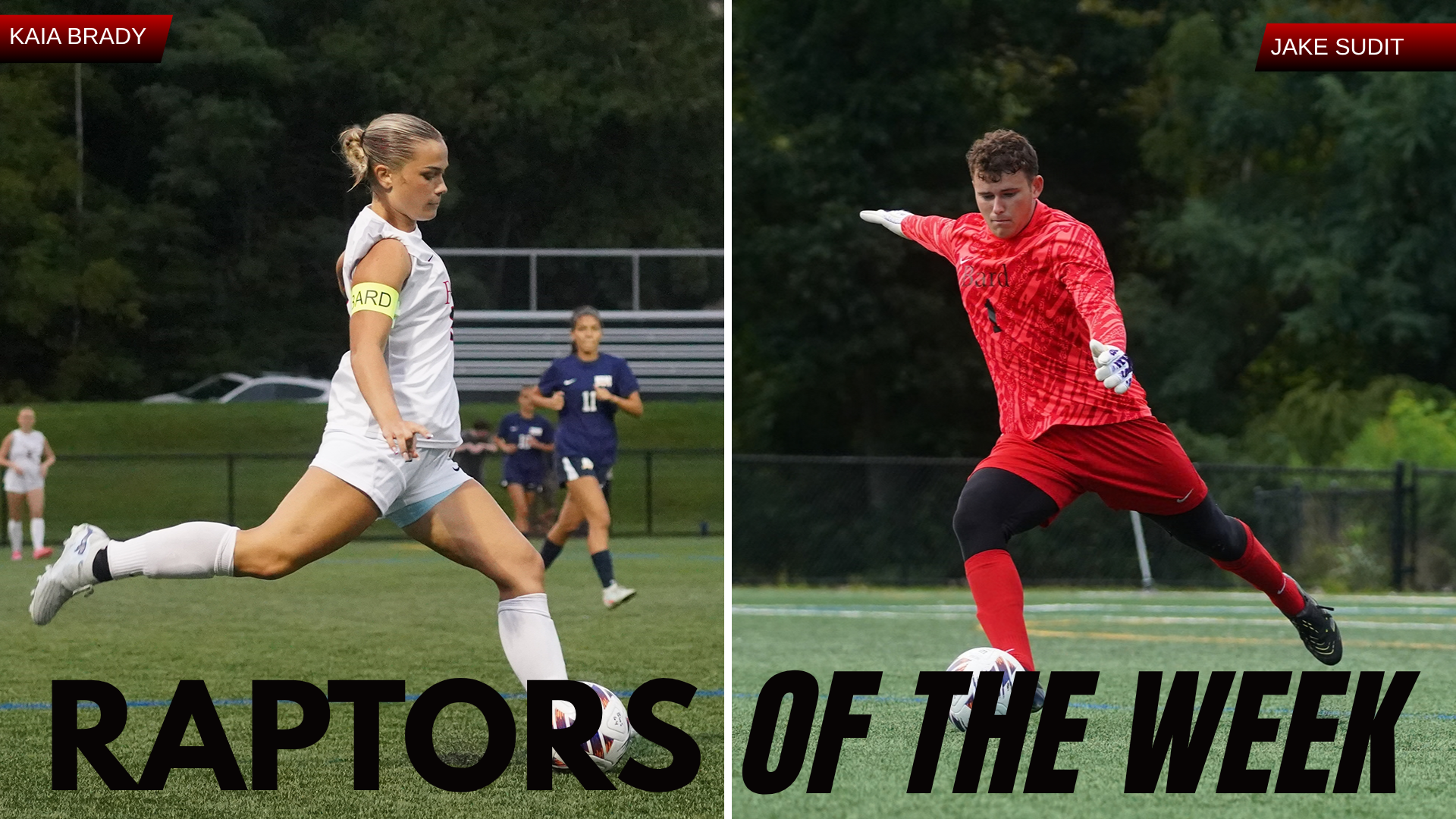 Raptors of the Week W3