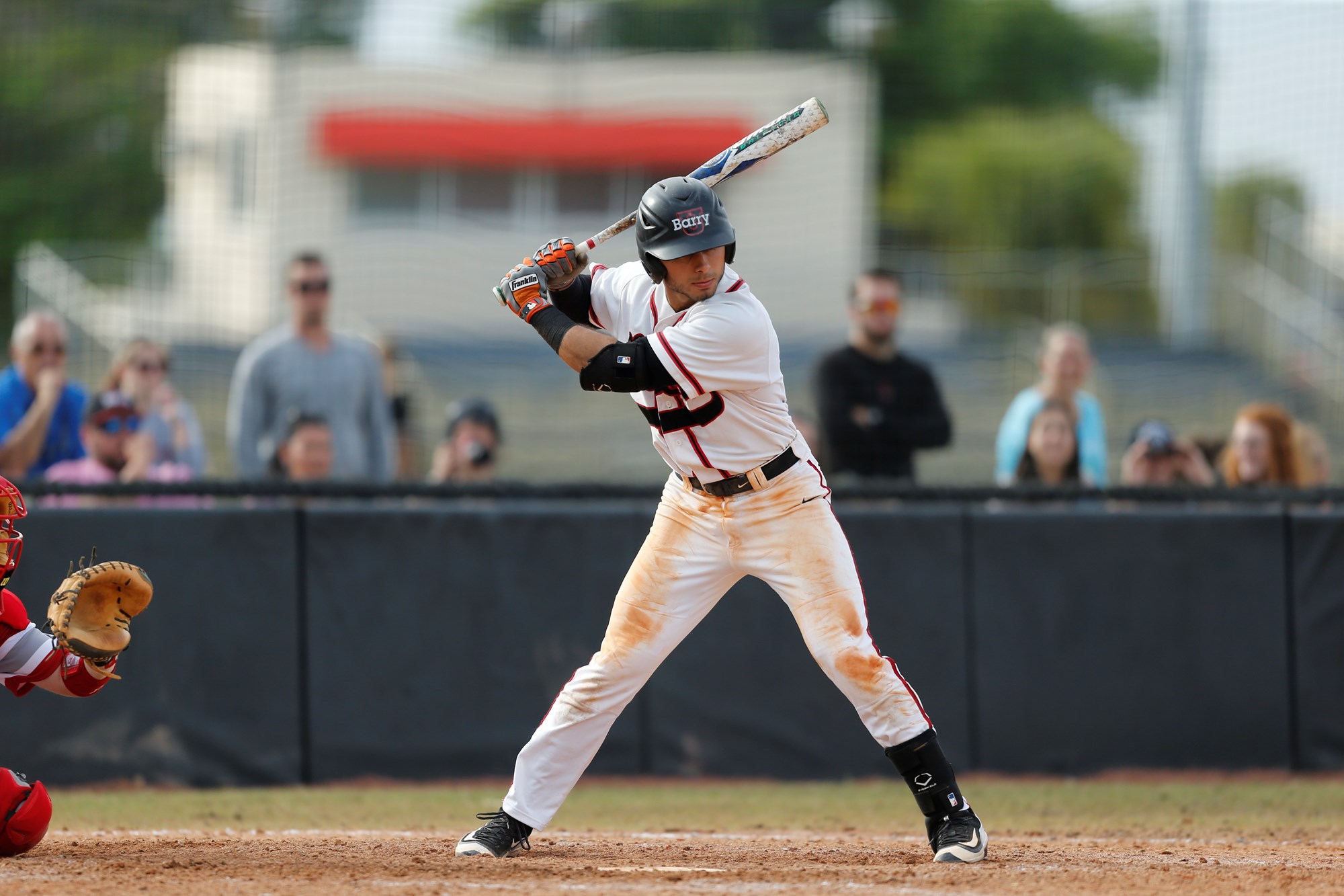Alexander DeGoti Baseball Barry University Athletics