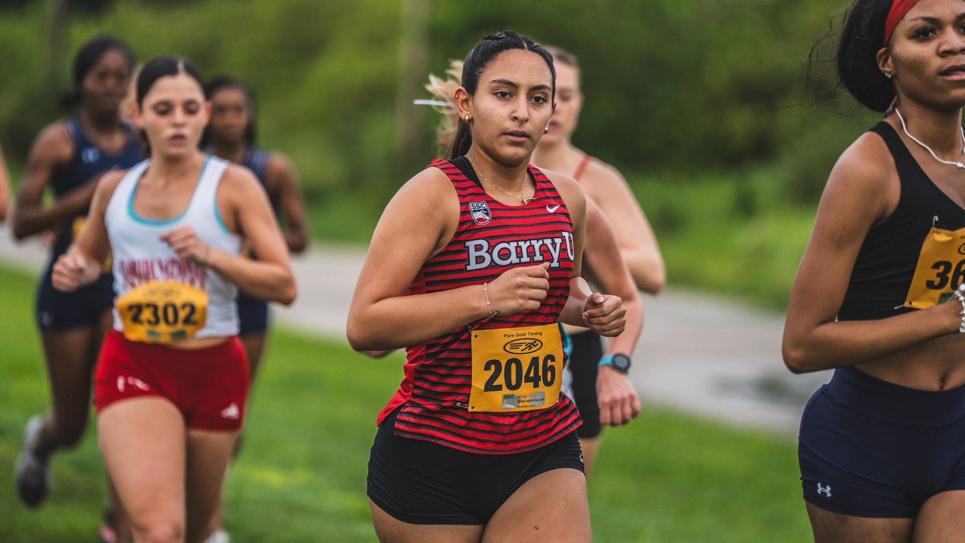 WXC - Arianna Garrisi