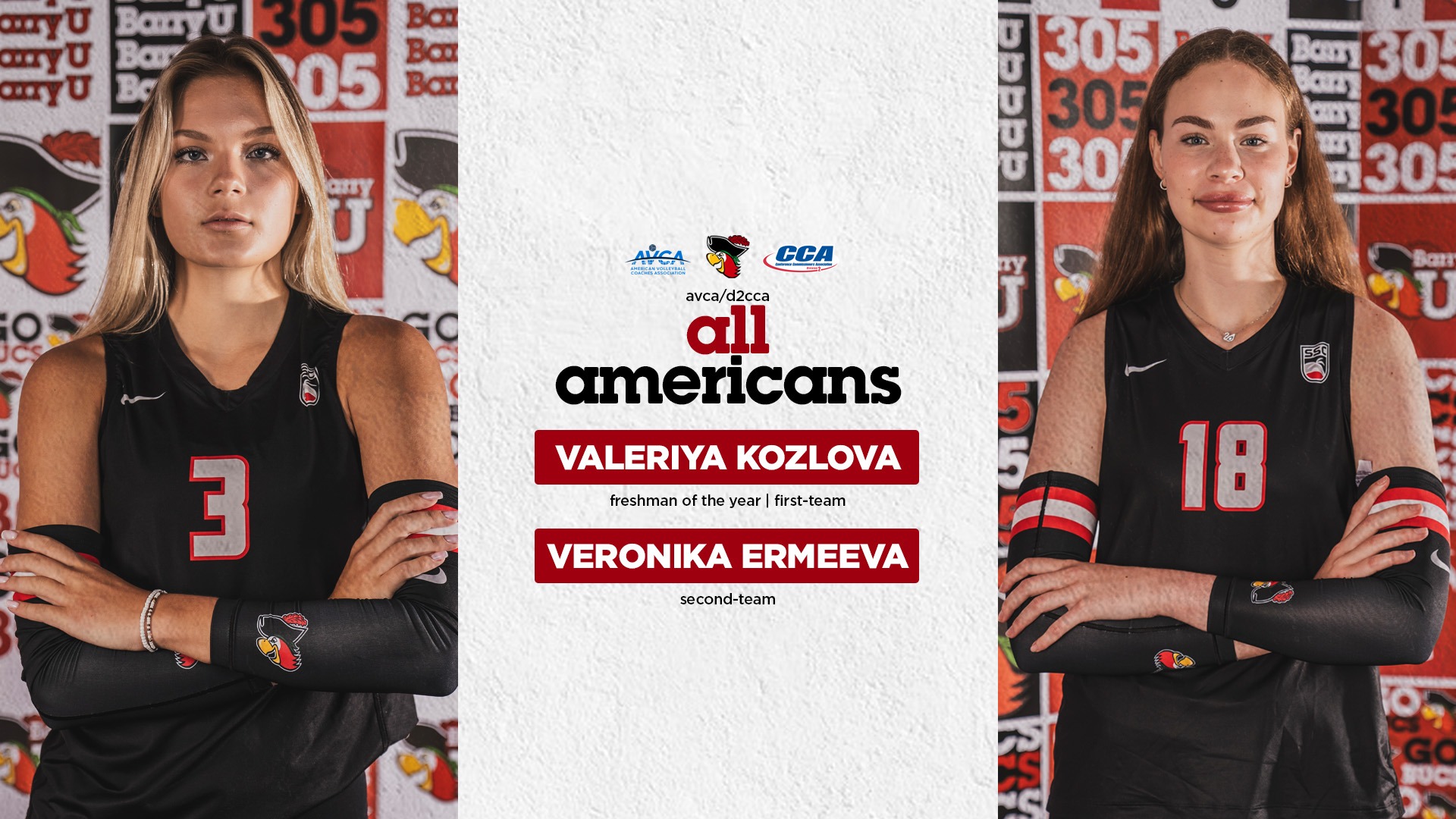 WVB All-Americans AVCA/D2CCA