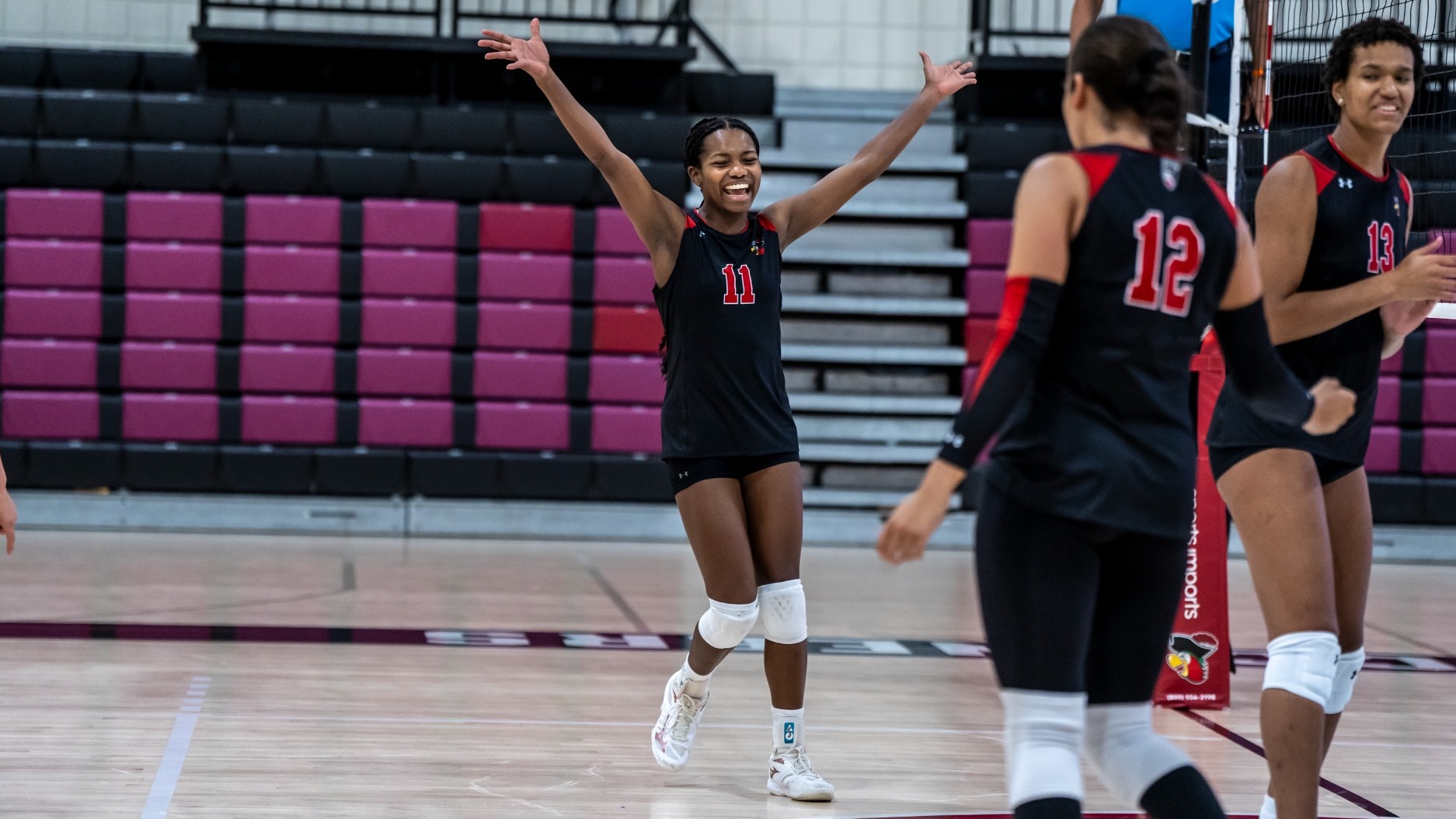 WVB-McKayla Theleus vs MDC
