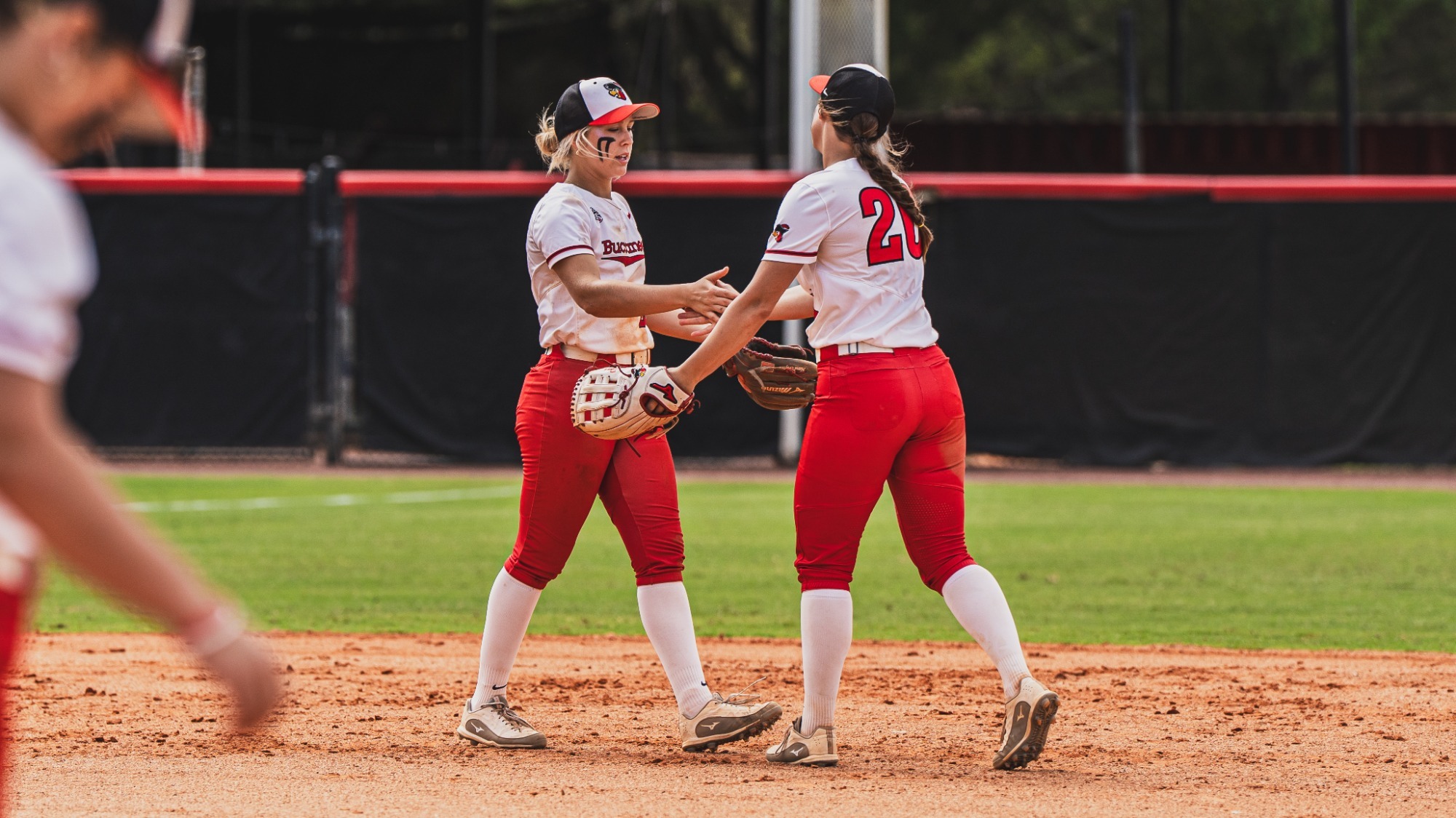 SB - Marchese and Shafer