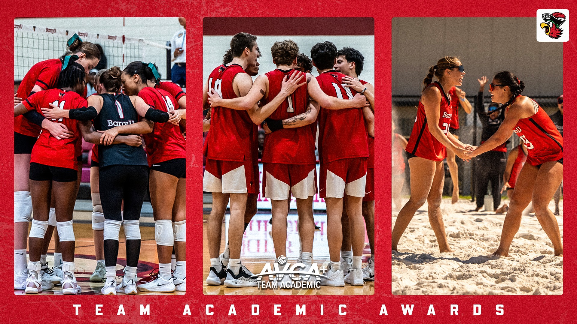 VB AVCA Academic Team Awards 2026