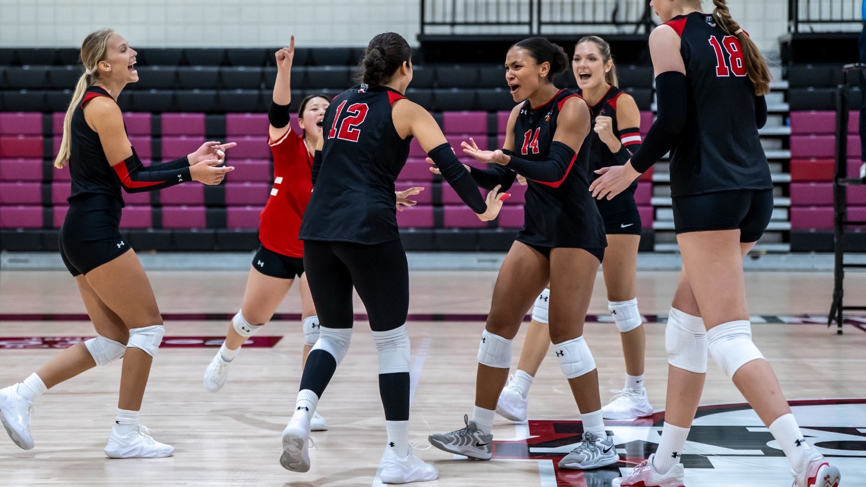 WVB - Zujovic and Iglesias Hype