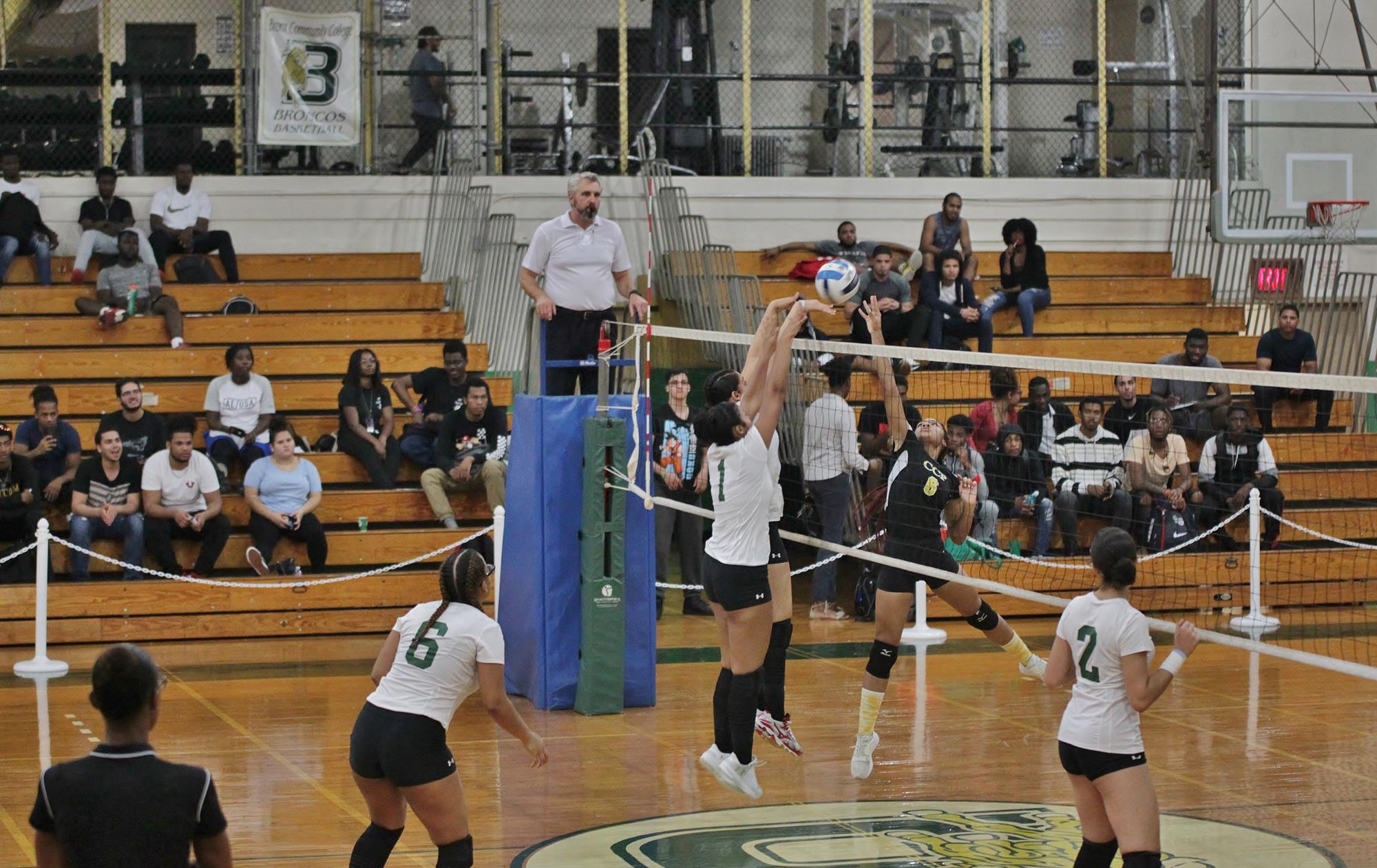 Lissette Dominguez Women's Volleyball Bronx Community College Athletics