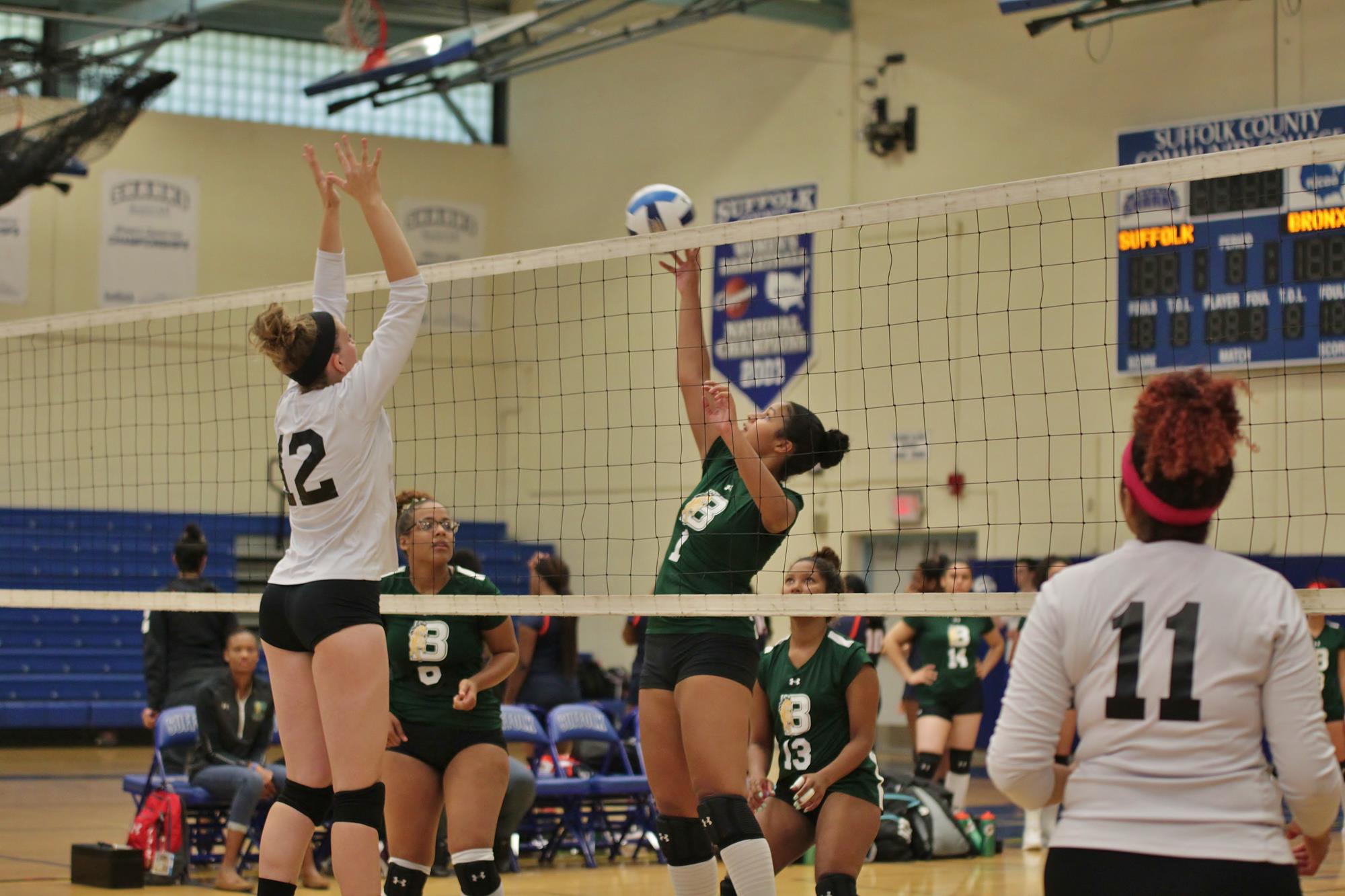 Lissette Dominguez Women's Volleyball Bronx Community College Athletics