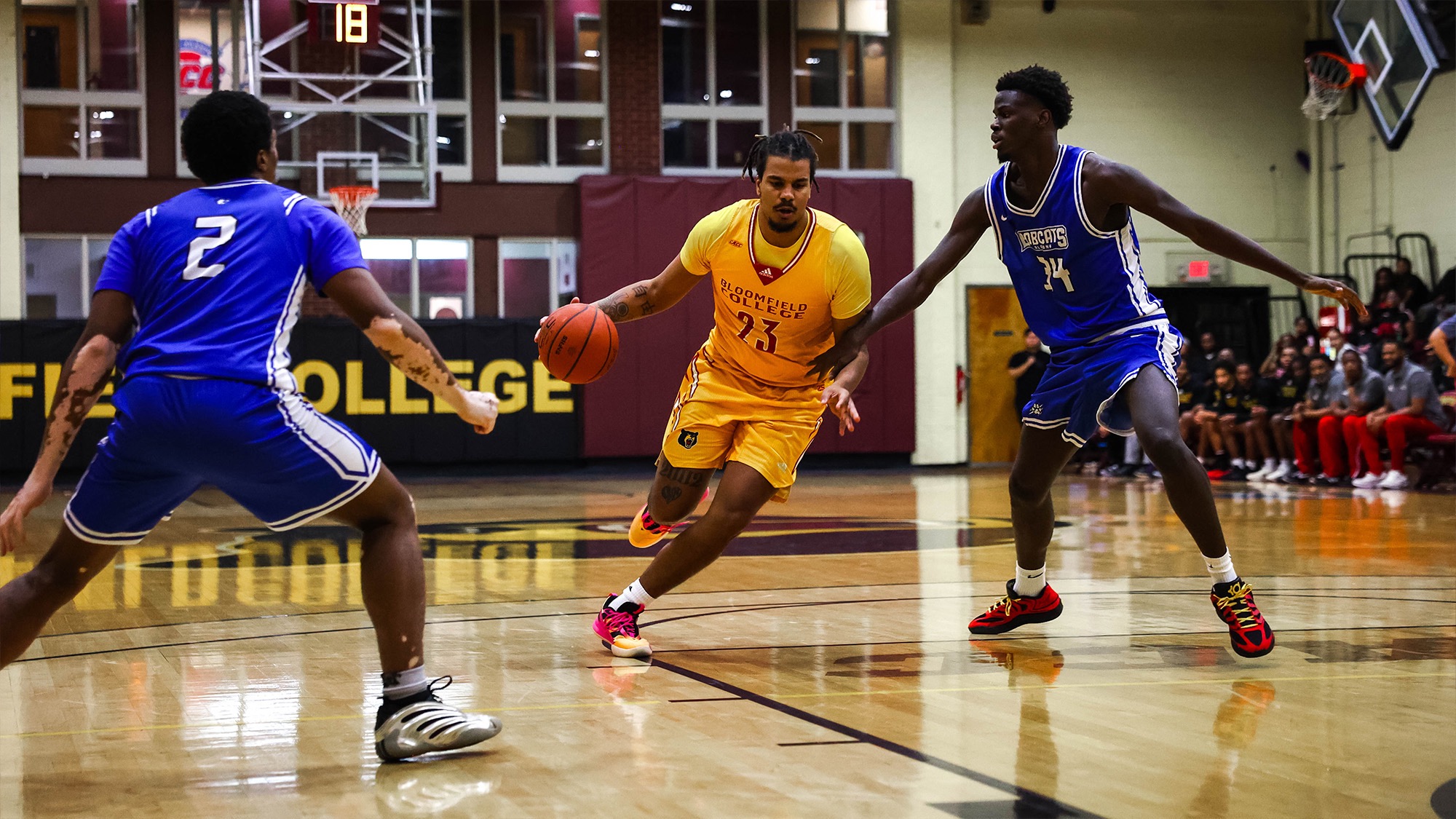 Marcus Bucknall drives down the lane in The Den
