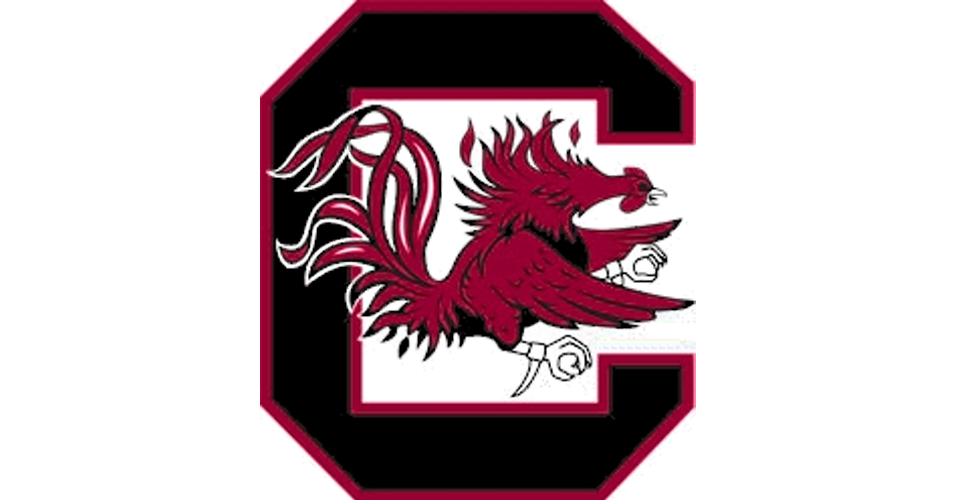 Opponent Logo
