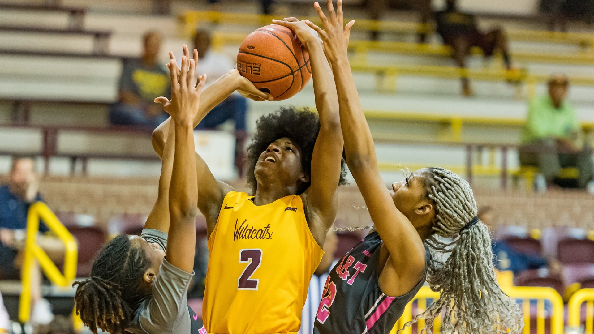 Nine Numbers To Consider About BethuneCookman University Athletics