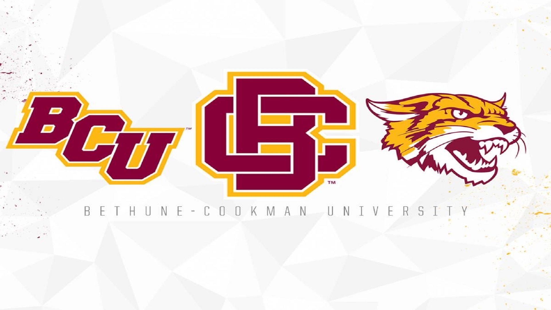 BethuneCookman To Opt Out Of All Sports In 202021 BethuneCookman