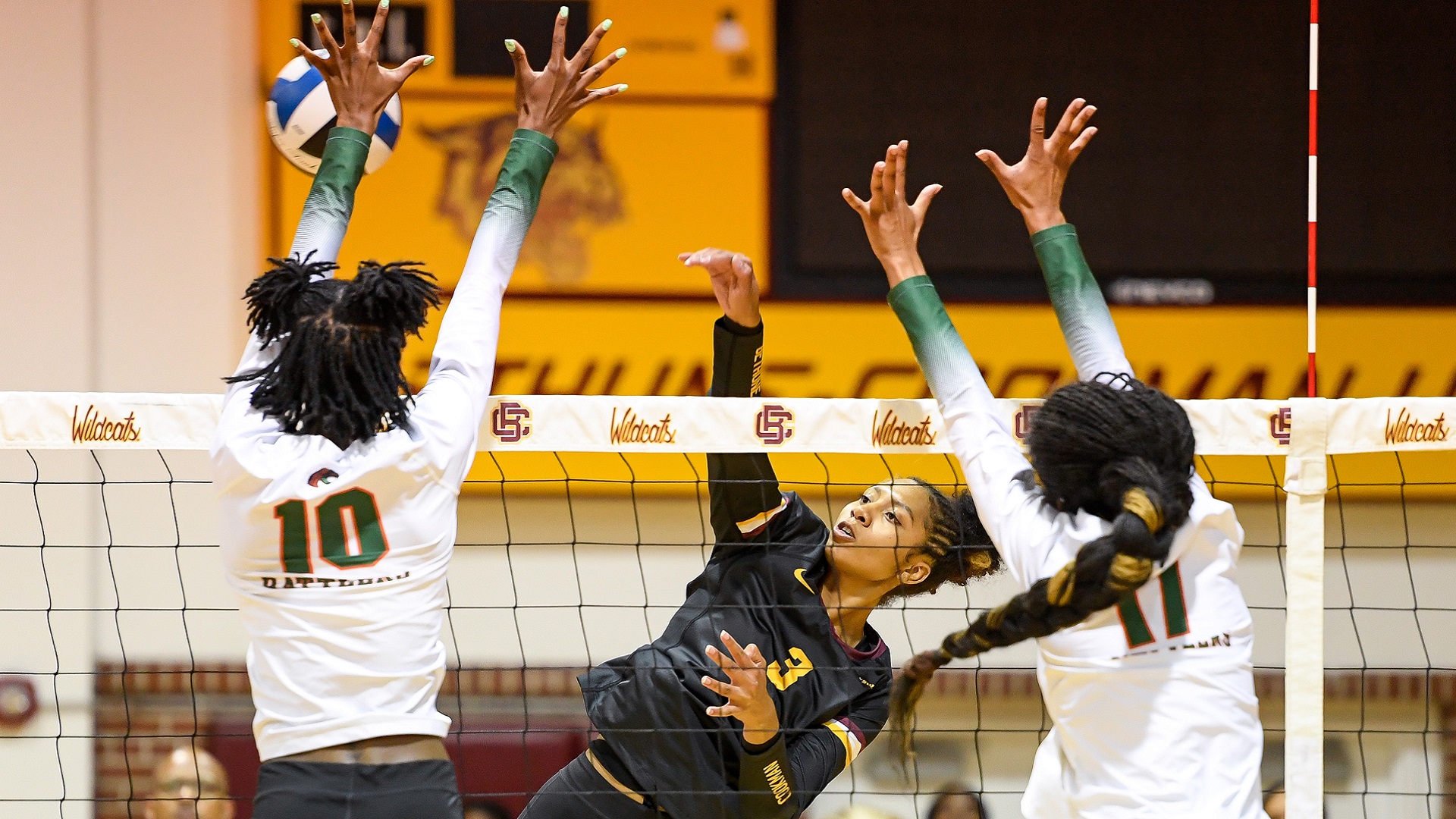 Drops SWAC Opener To FAMU BethuneCookman University Athletics