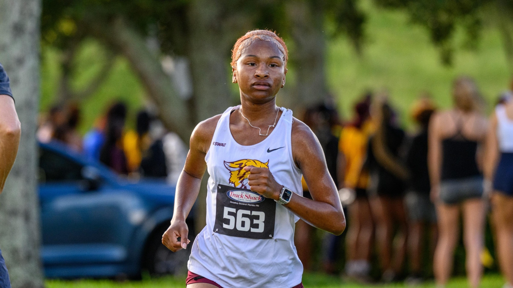 Robinson XC