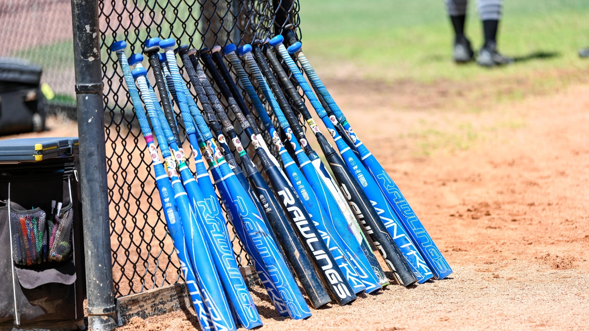 Softball Bats