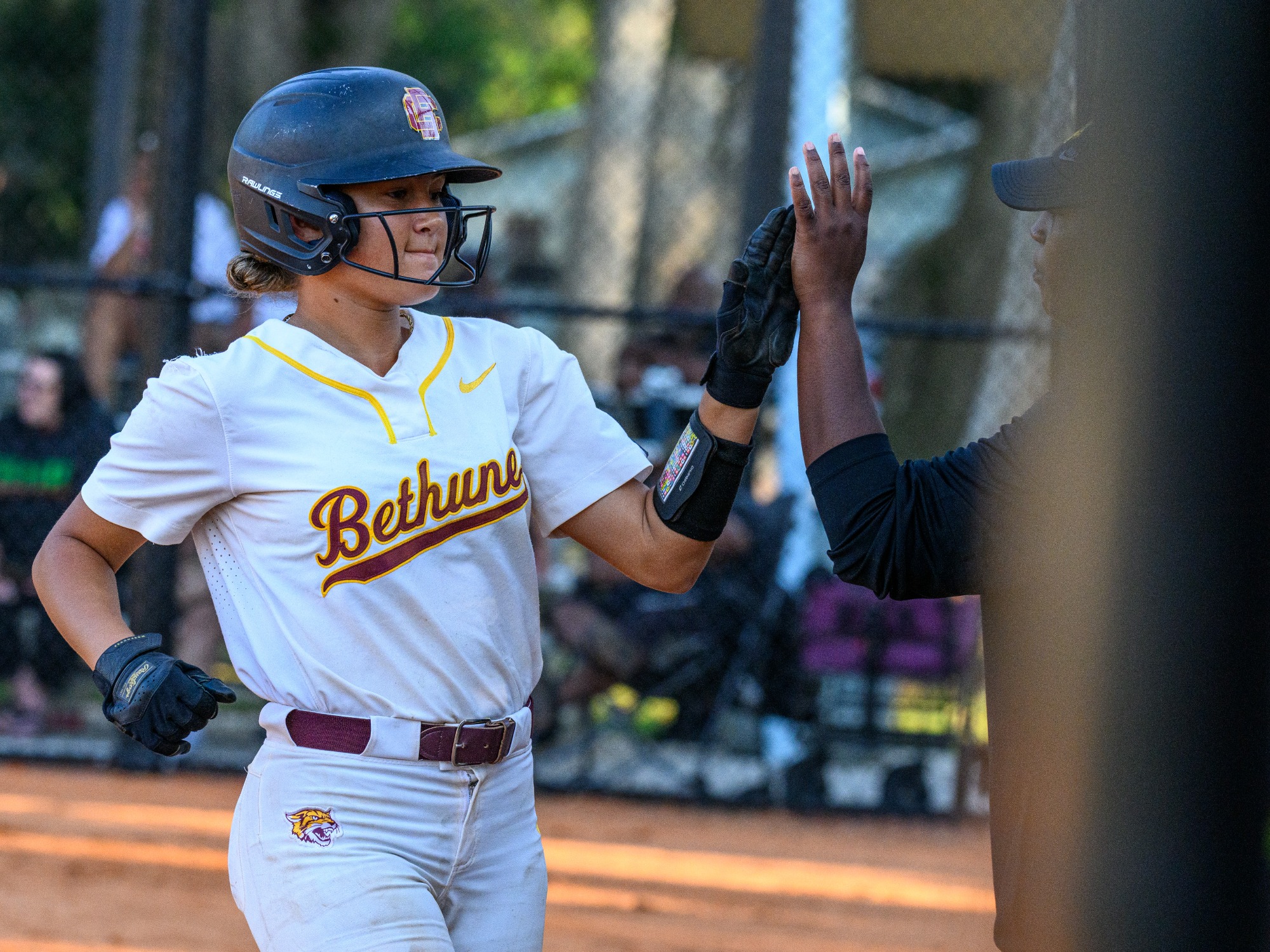 March 27, 2026: \  during NCAA Softball game 1 between FAMU Rattlers and the Bethune Cookman Wildcats at Sunnyland Park in Daytona Beach, FL, FL Romeo T Guzman/BCU Athletics