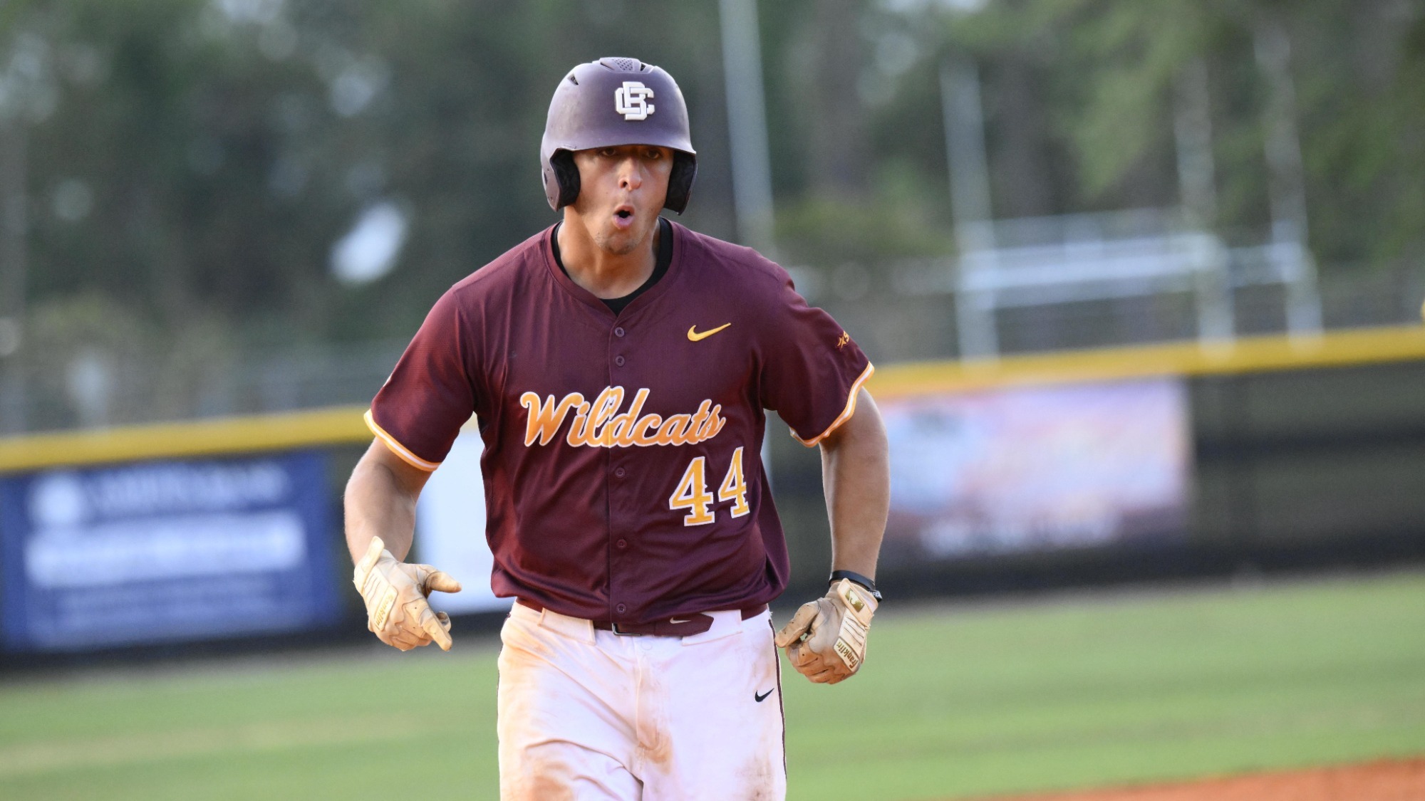 Fernandez Homer vs UAPB