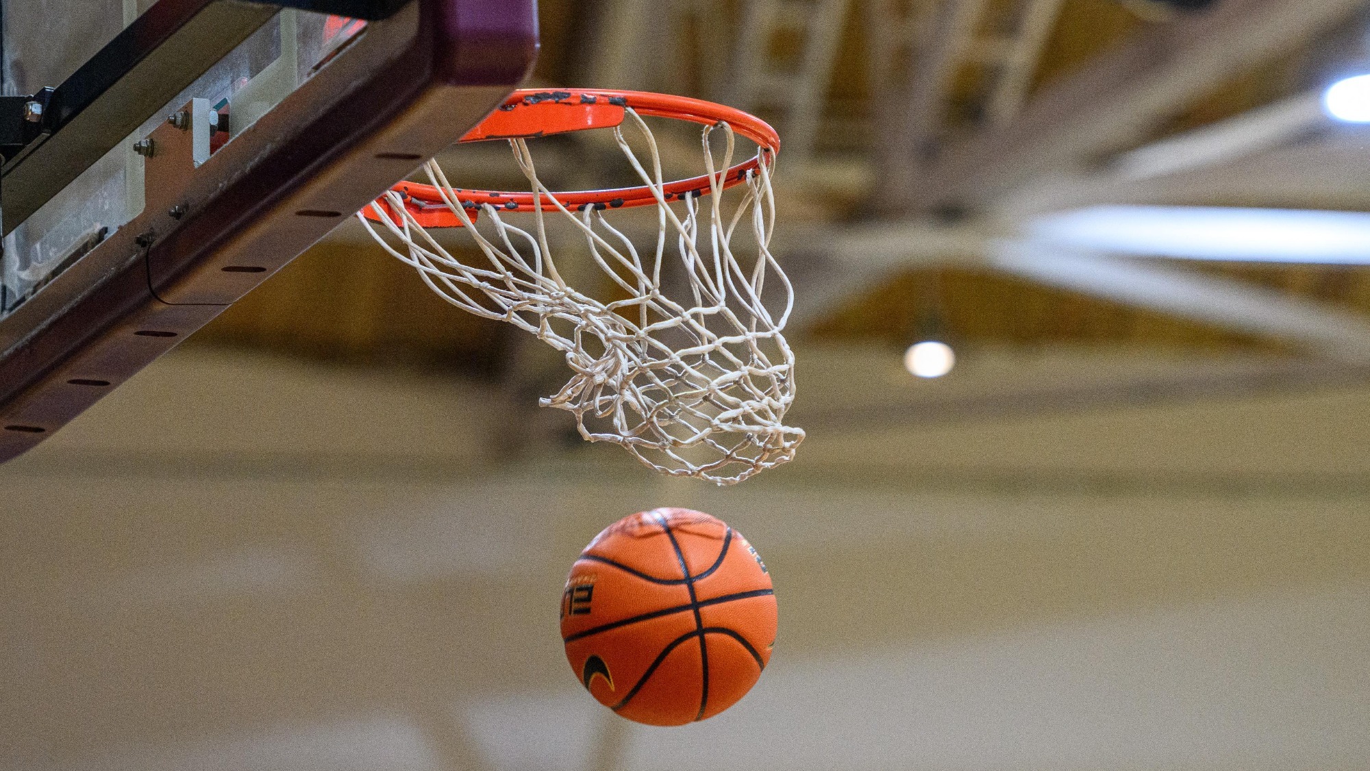 Women's Basketball Generic