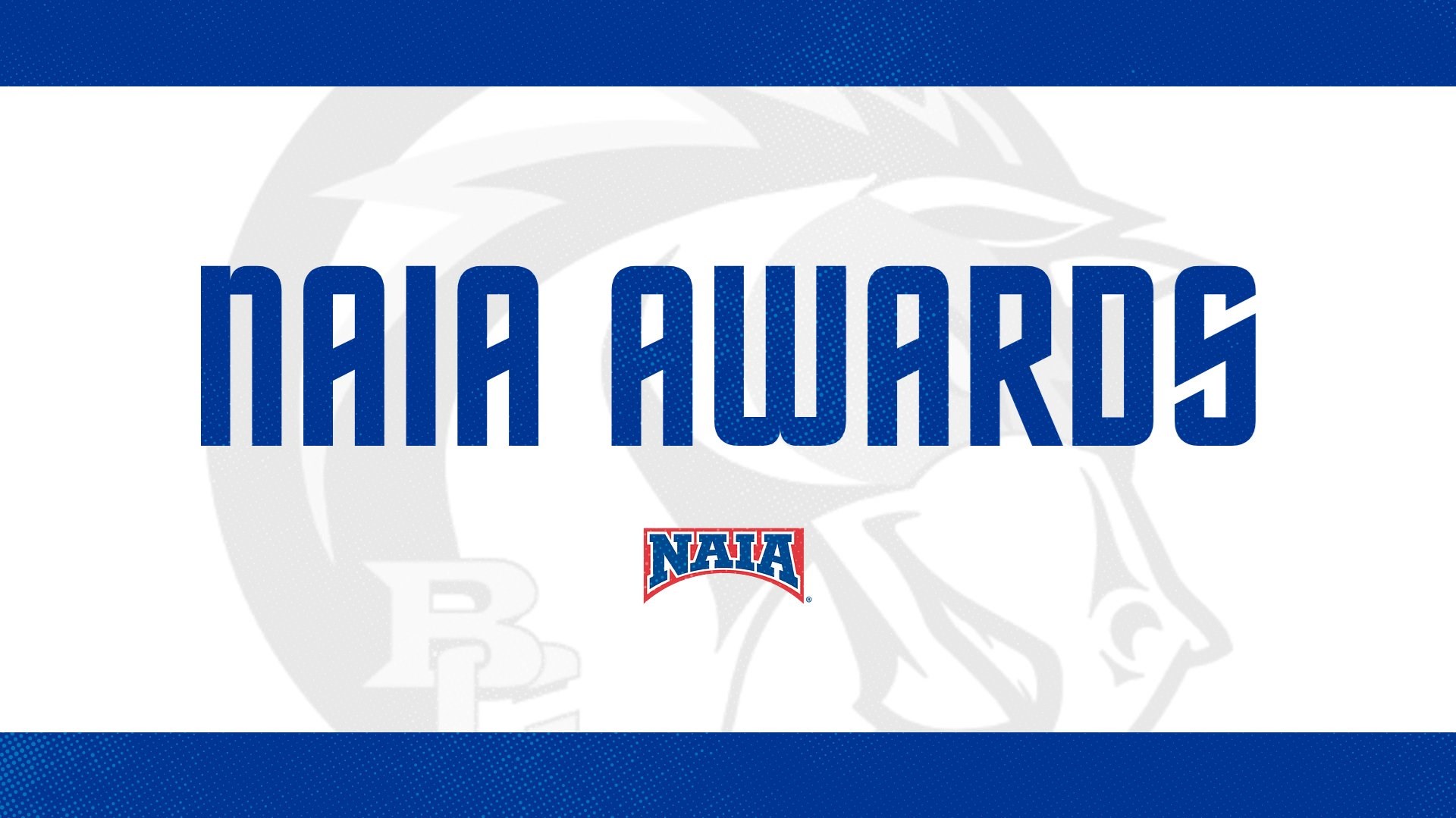 NAIAawards