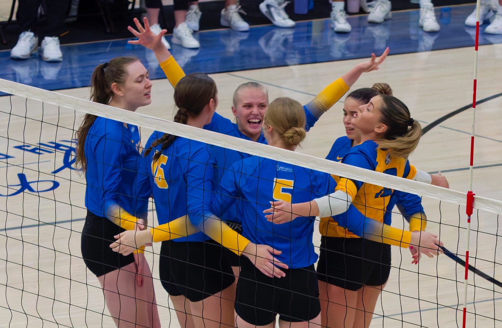 Volleyball vs dwu