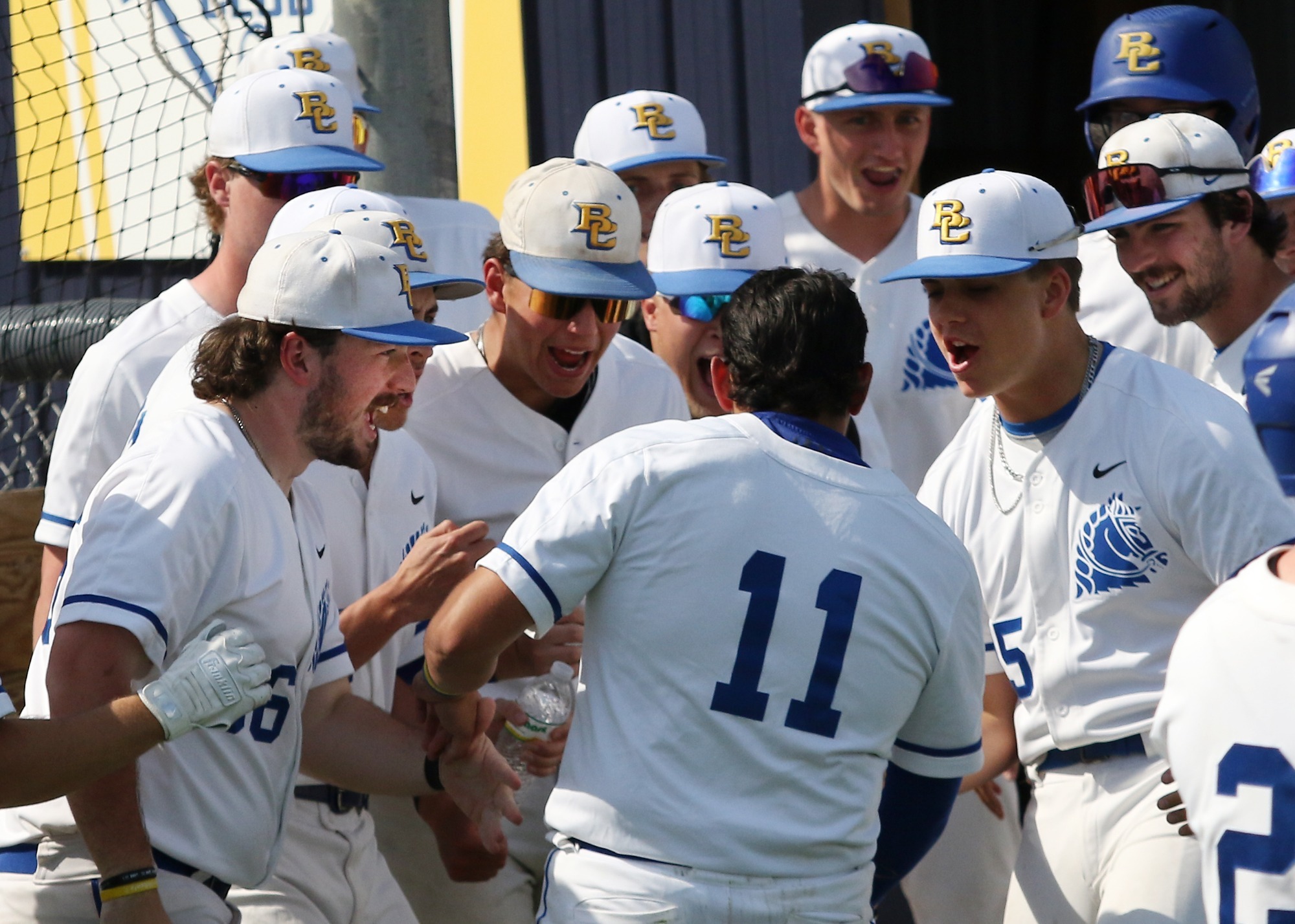 Baseball celebration after homerun