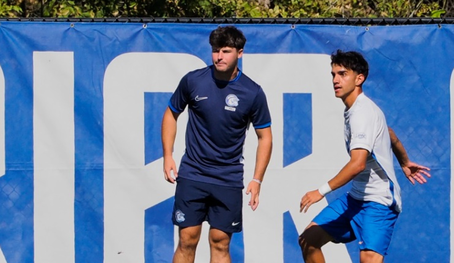 Luis Coaching
