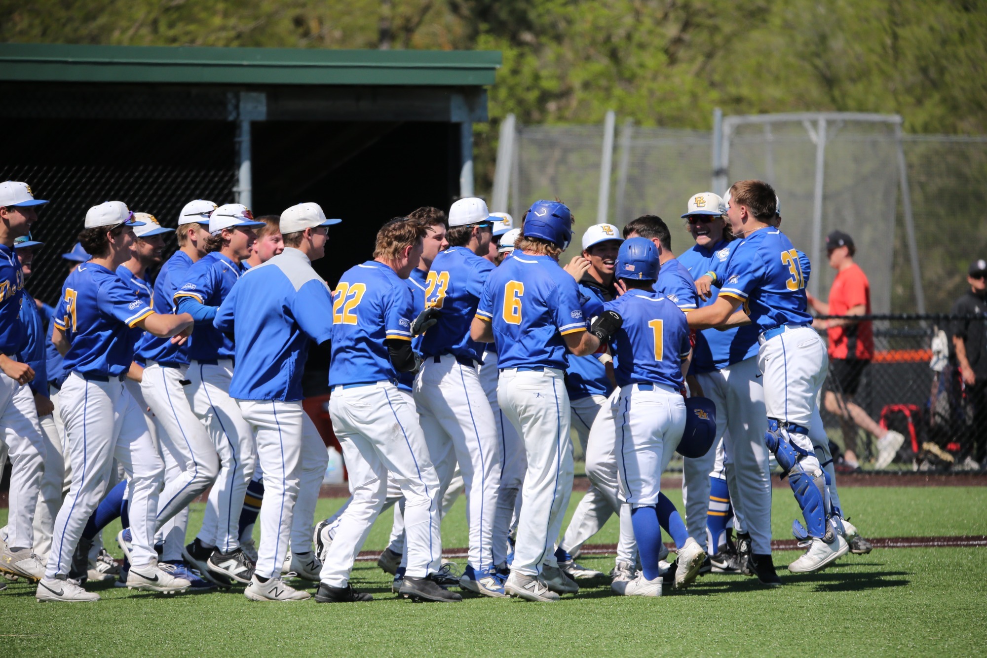 Baseball walkoff