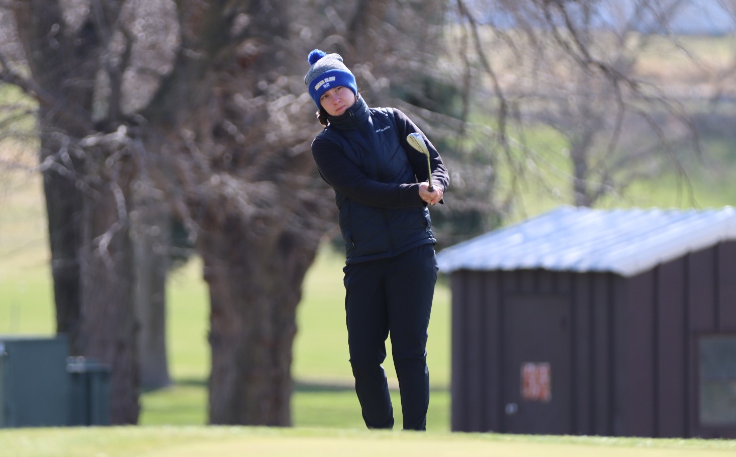 carter golf