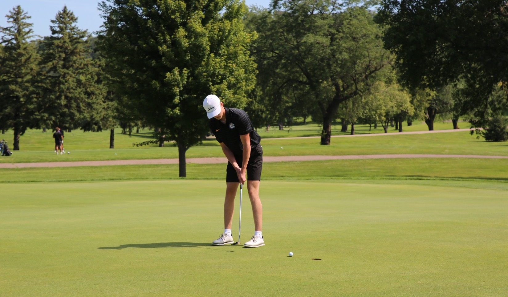 Men golf 